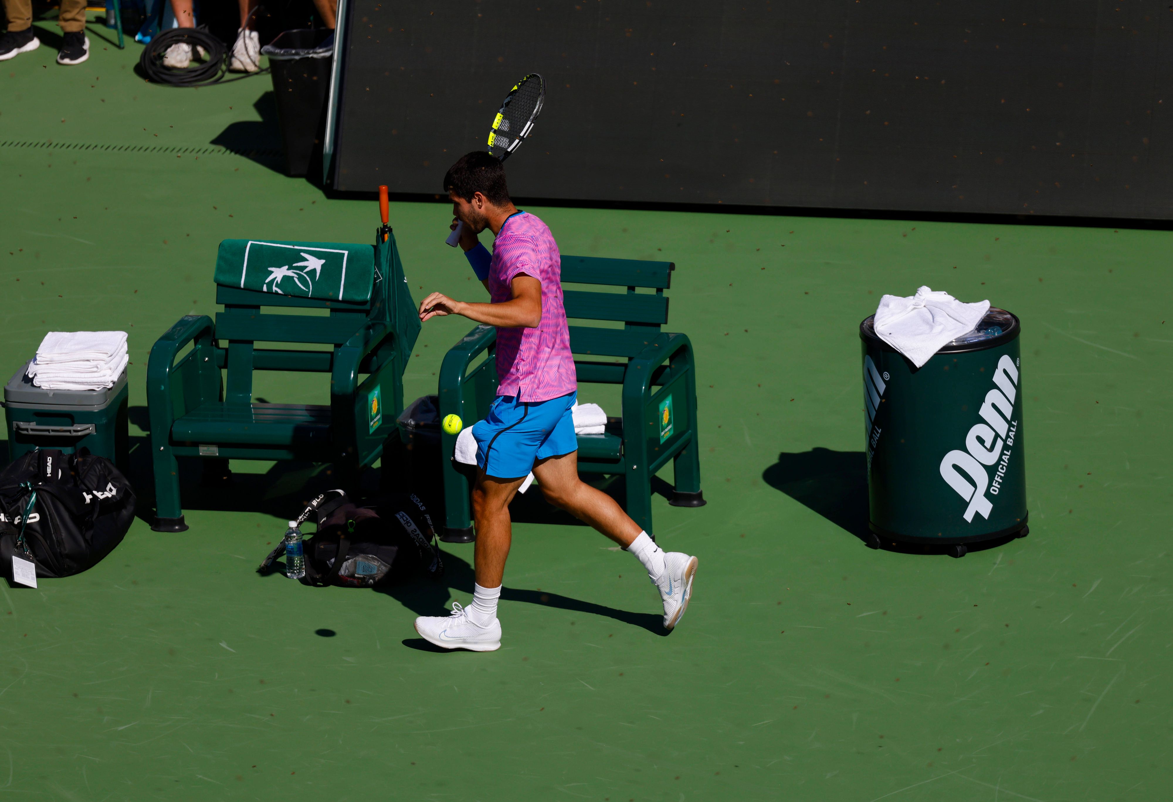 Tennis-Star Carlos Alcaraz flüchtet vor Bienen in Indian Wells.