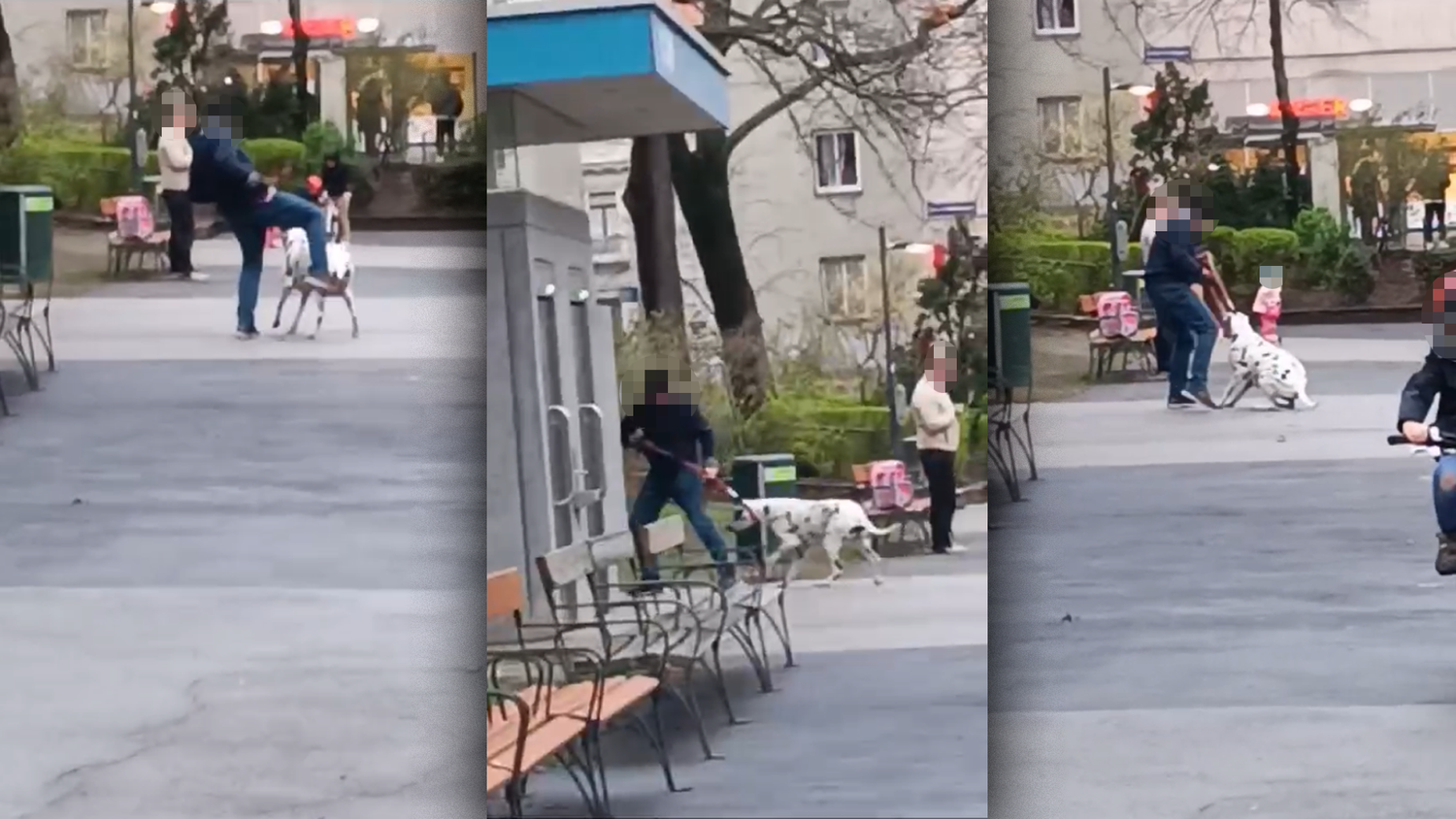 In Wien-Landstraße kam es am Mittwoch zu einer schrecklichen Tierquälerei. Ein Hundehalter tritt auf seinen Hund ein.