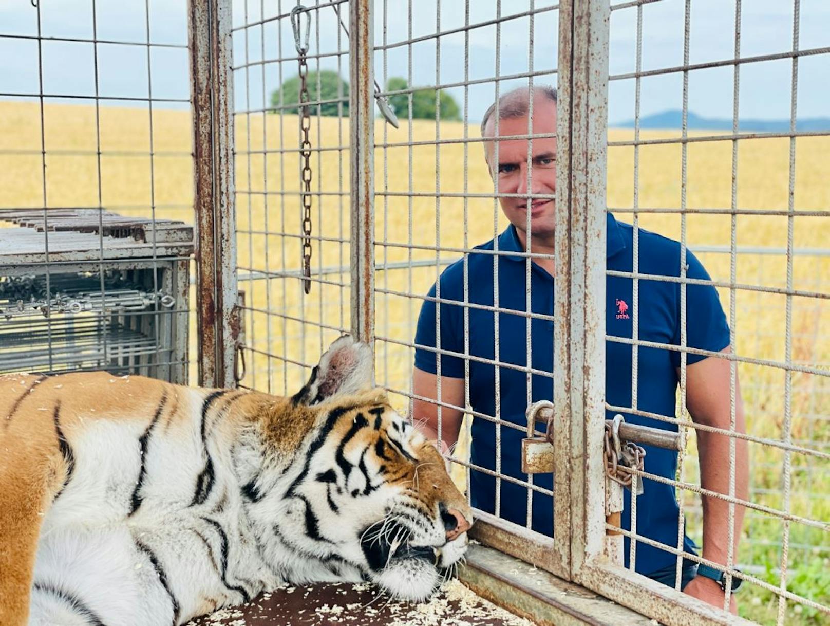 Hier Aiderbichl-Chef Dieter Ehrengruber mit einem der Tiger. 