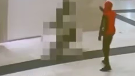 Heute.at - Polizei verhaftet nackten Vergewaltiger während der Tat