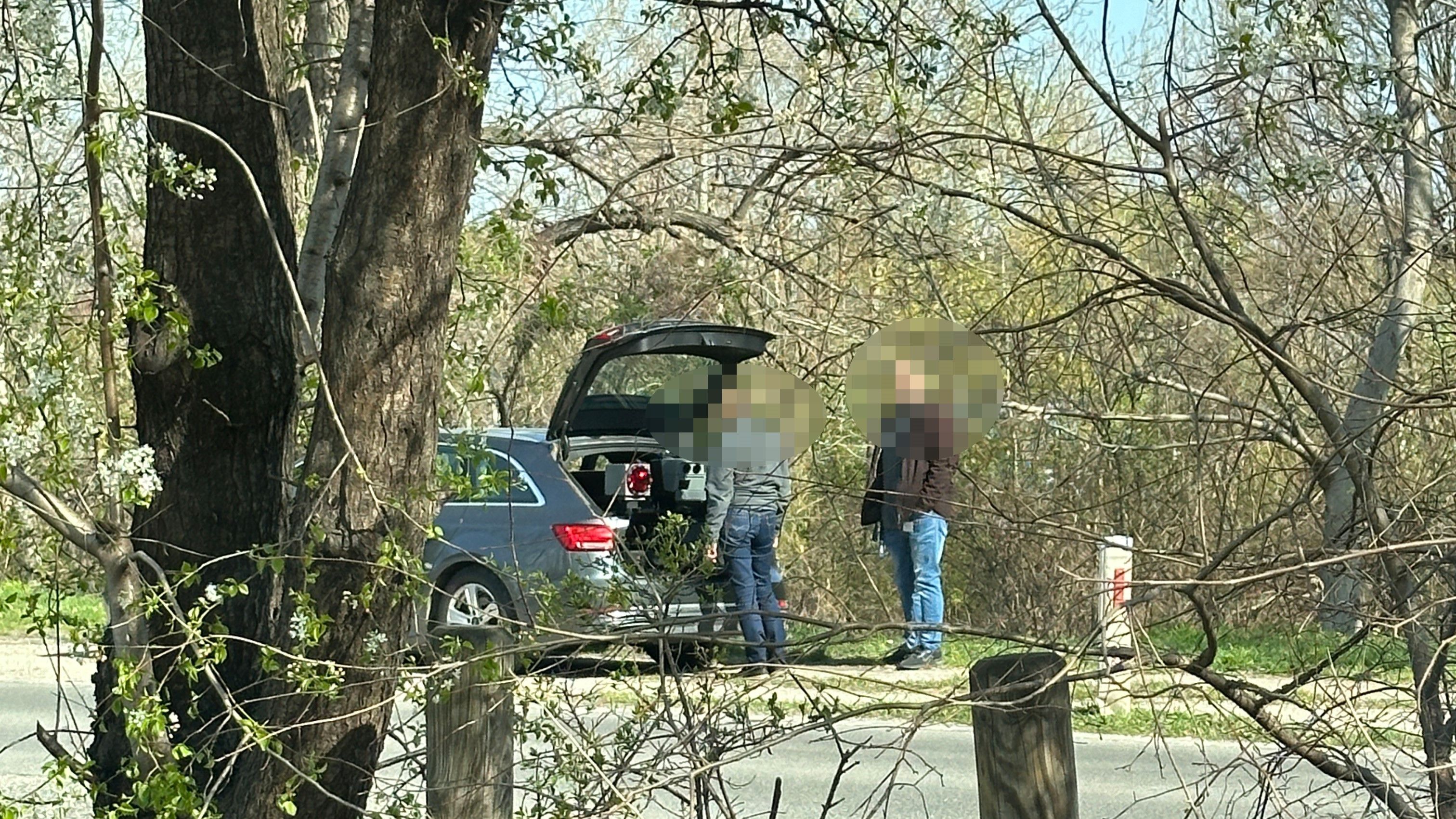 In Donaunähe sollten sich Pkw-Lenker lieber an die Verkehrsregeln halten.