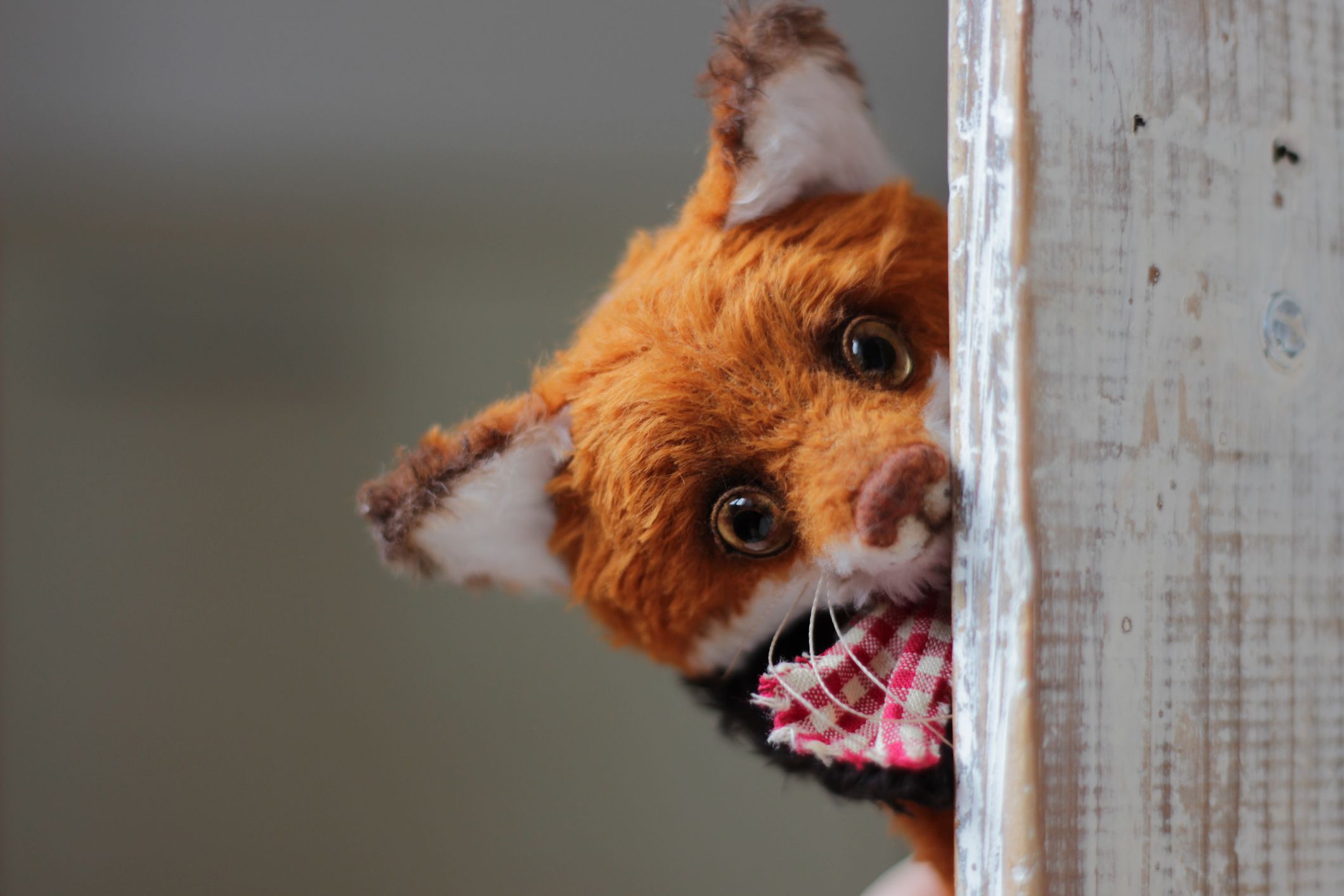 Ein Stofftier, eine Maske und ein ausgestopfter Fuchs haben bei einer Wildtier-Rettungsstation einen ganz besonderen Stellenwert. 