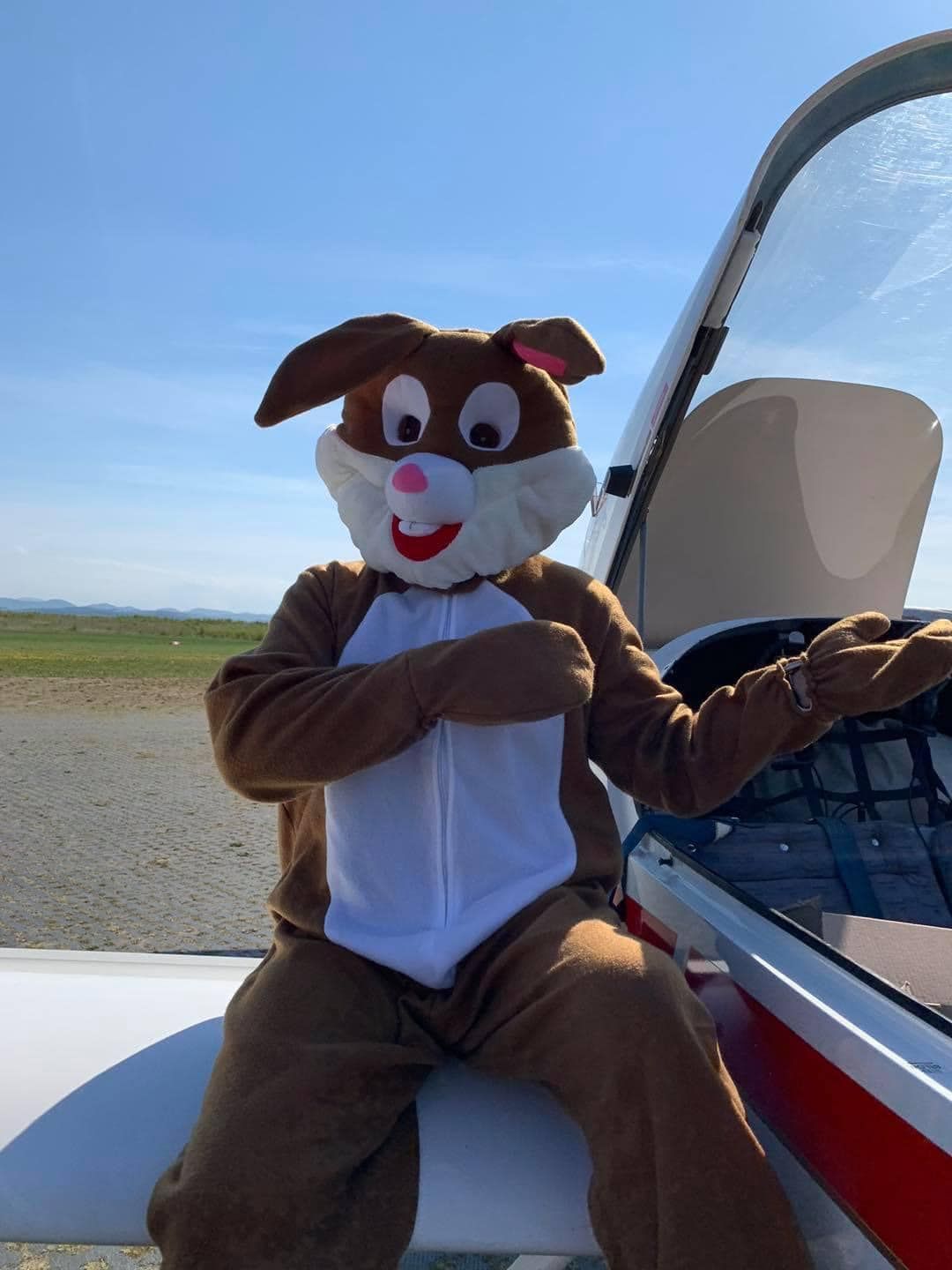 Der Osterhase legt in St. Pölten einen großen Auftritt hin.