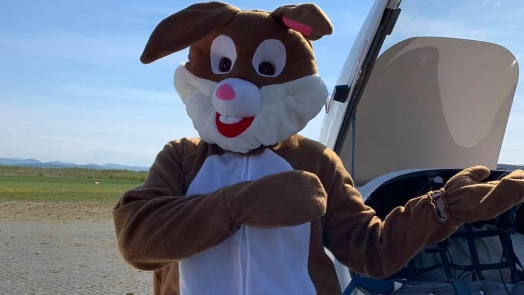 Der Osterhase legt in St. Pölten einen großen Auftritt hin.