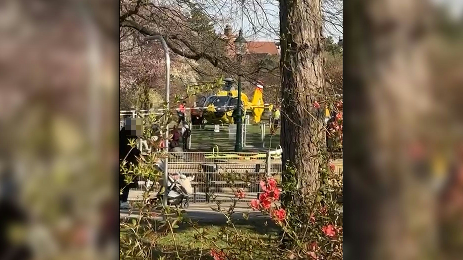 Frau angefahren – Rettungs-Heli landet in Wiener Park