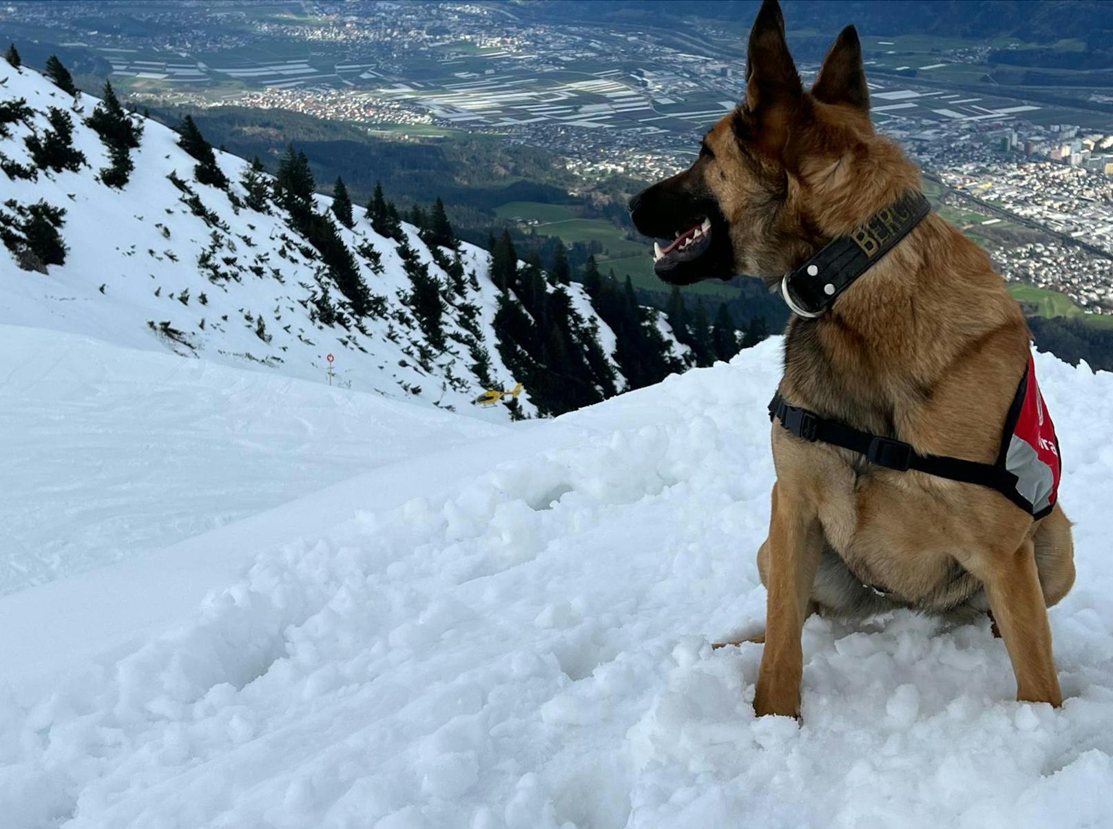 Nachdem das Verschütten einer Person nicht vollkommen ausgeschlossen werden konnte, wurden die Notarzthubschrauber "Christopherus I" und "Heli 4" sowie ein Lawinenhund der Bergrettung Tirol angefordert.