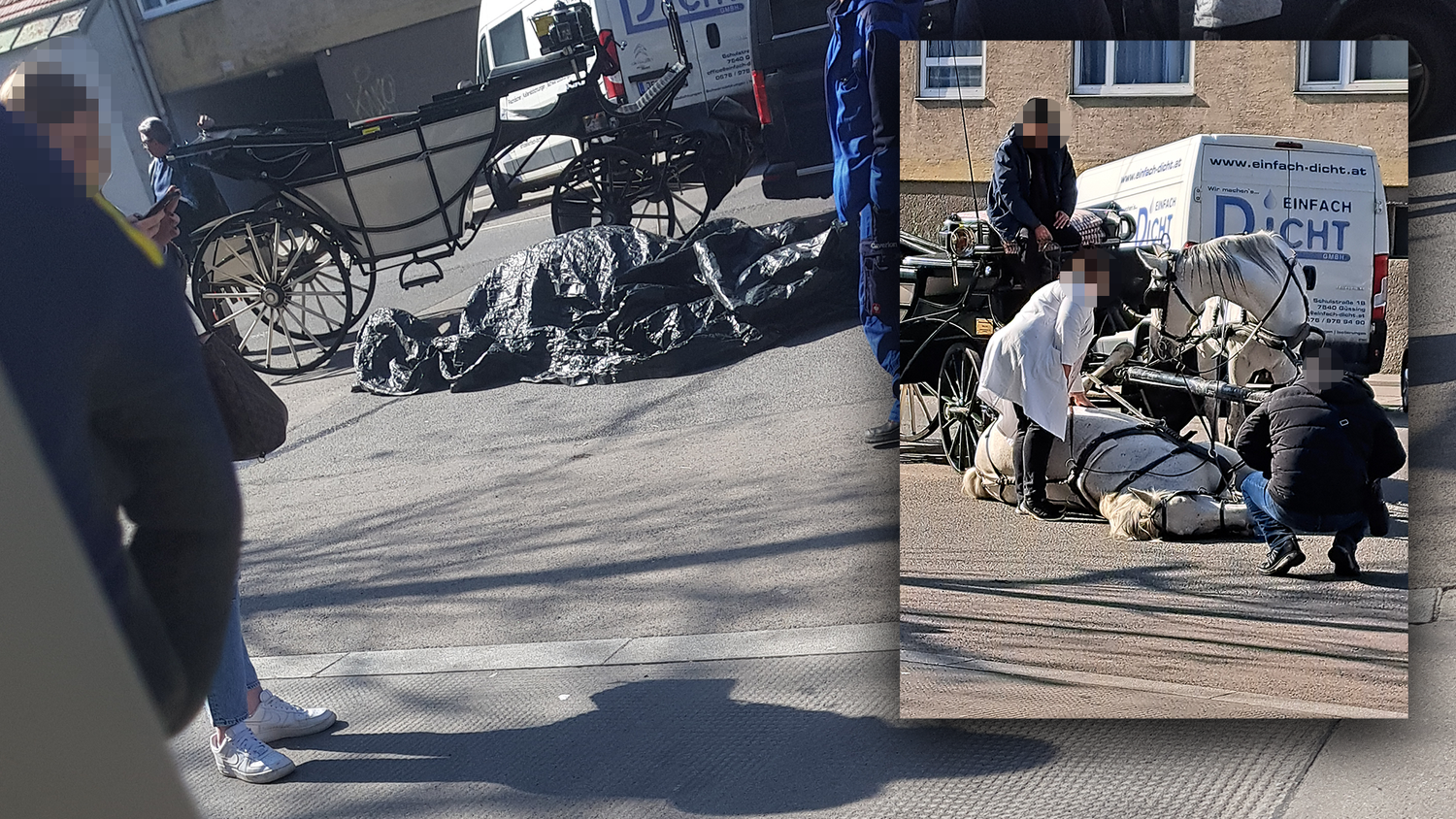 Ein Fiaker-Pferd brach am Mittwochvormittag in Wien-Simmering zusammen und verstarb noch vor Ort.