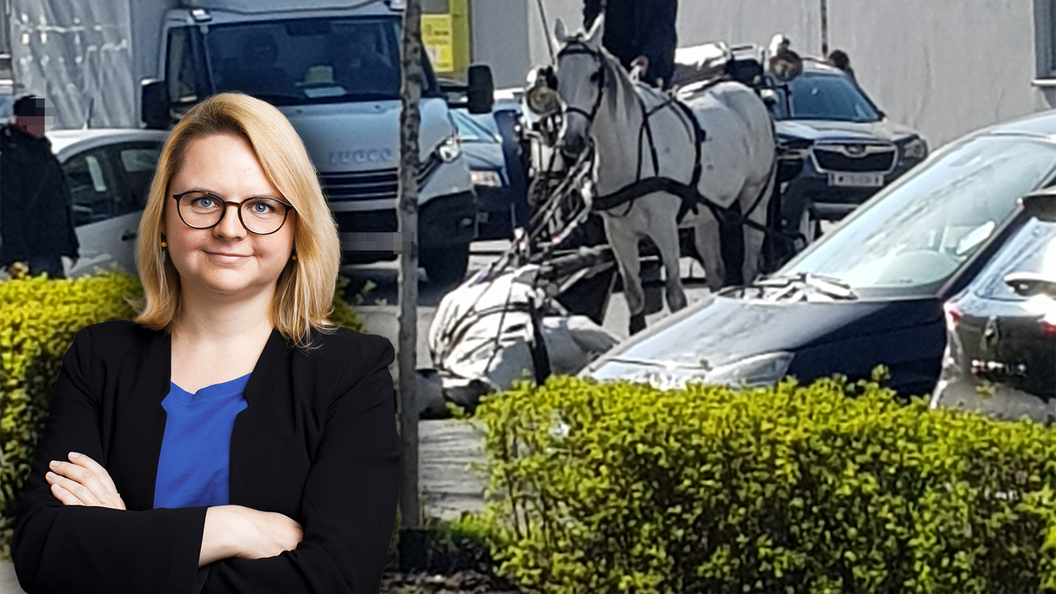Veronika Weissenböck von "Vier Pfoten" ist erschüttert über den Vorfall von Mittwochvormittag. Ein Fiaker-Pferd verstarb auf der Straße.