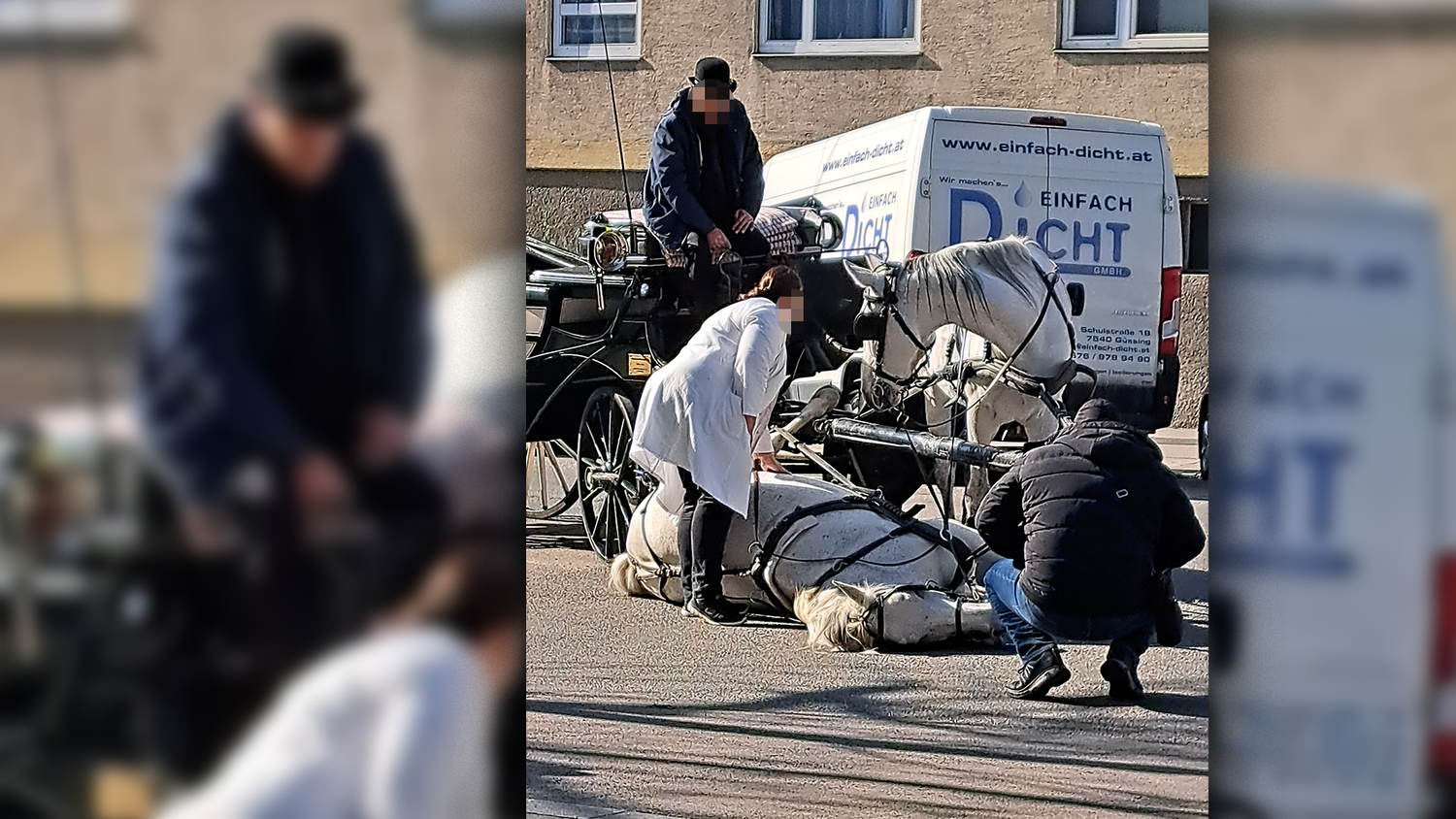 Am Mittwochvormittag sorgte ein Vorfall für Aufsehen. Ein Fiaker-Pferd verstarb mitten auf der Straße.