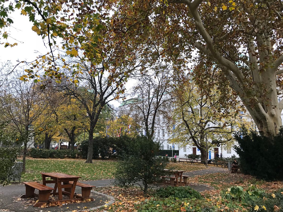 Der Vorfall ereignete sich beim Picknick in einem Wiener Park. (Symbolbild)