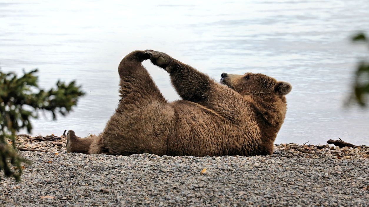 Bärig: Yoga schafft uns mehr Ärger vom Hals als sportliche Aktivitäten wie Laufen.