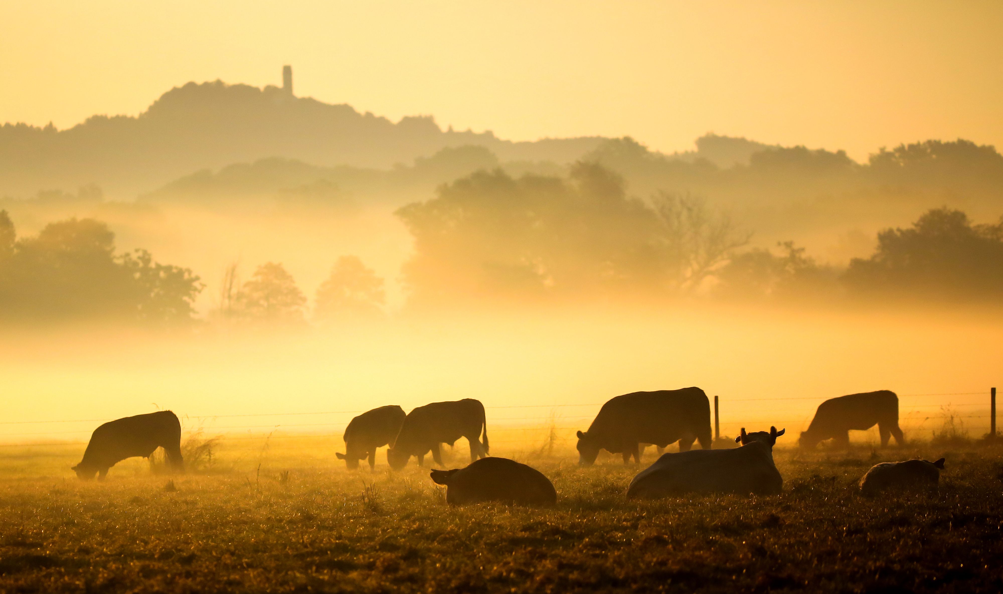 Der Klimawandel könnte auch die Inflation erhöhen und damit vor allem Nahrungsmittel teurer machen.