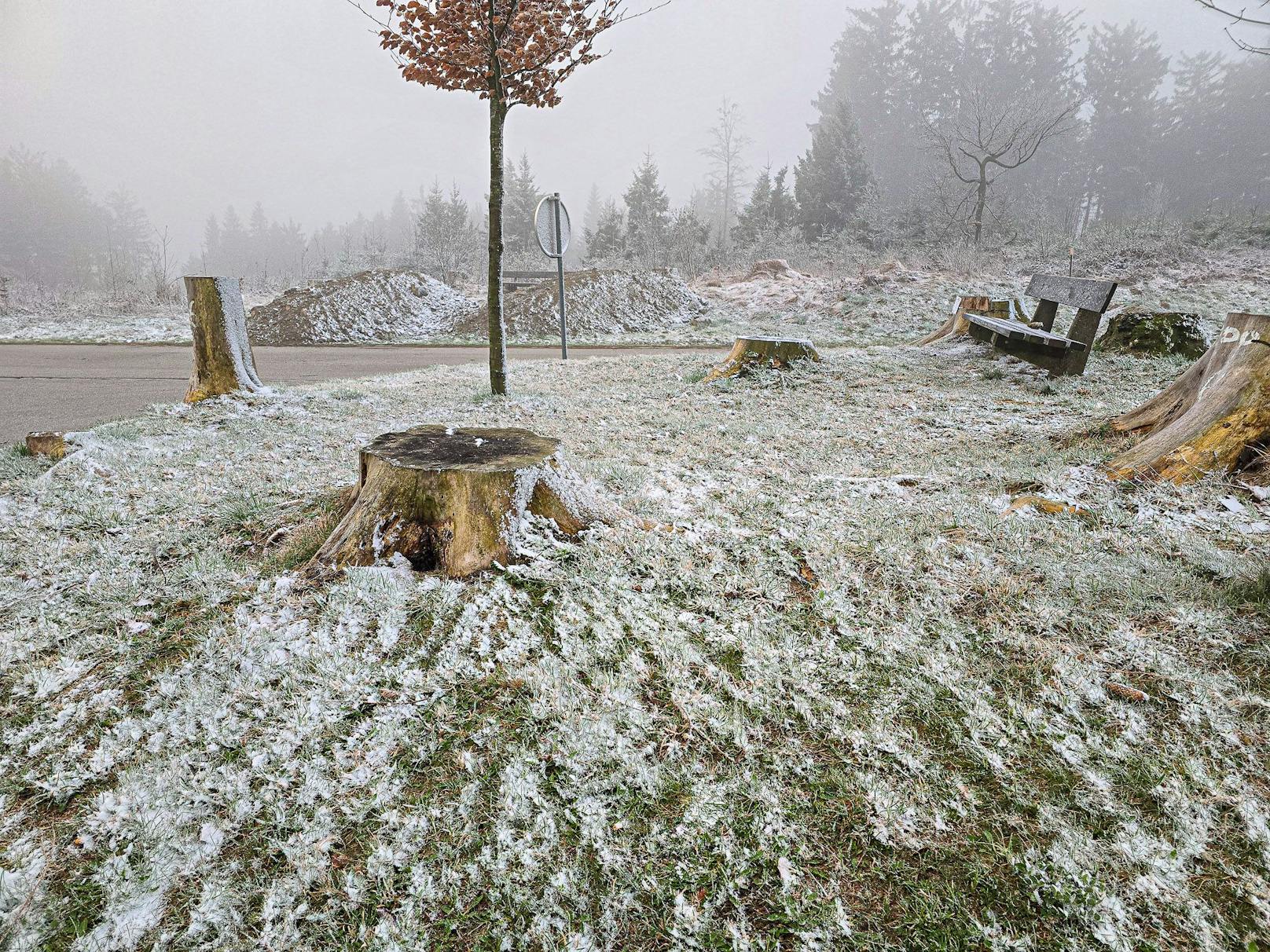 Schneefall am Palmsonntag in Oberösterreich (24. März 2024)