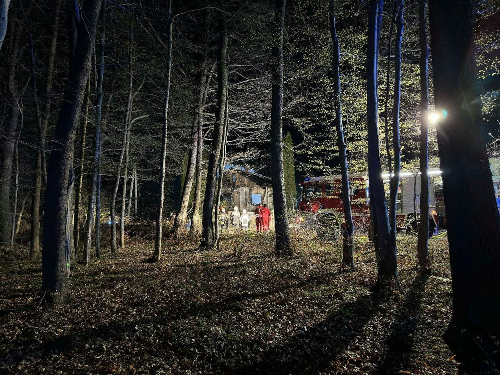 Eine Bewohnerin wurde mit Verletzungen ins Krankenhaus gebracht, berichtete die Feuerwehr Altlengbach