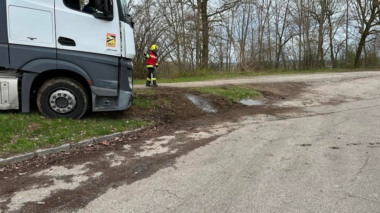 Die Feuerwehr barg ihn.