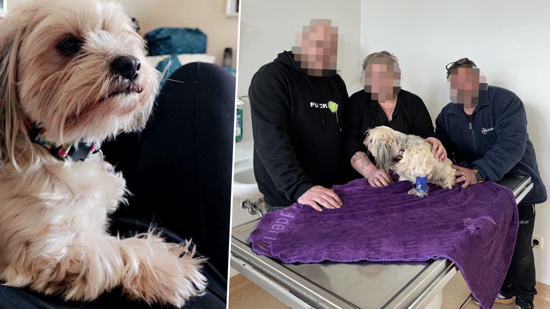 Nach einer Tumordiagnose hofft die Familie aus Horn auf Hilfe.