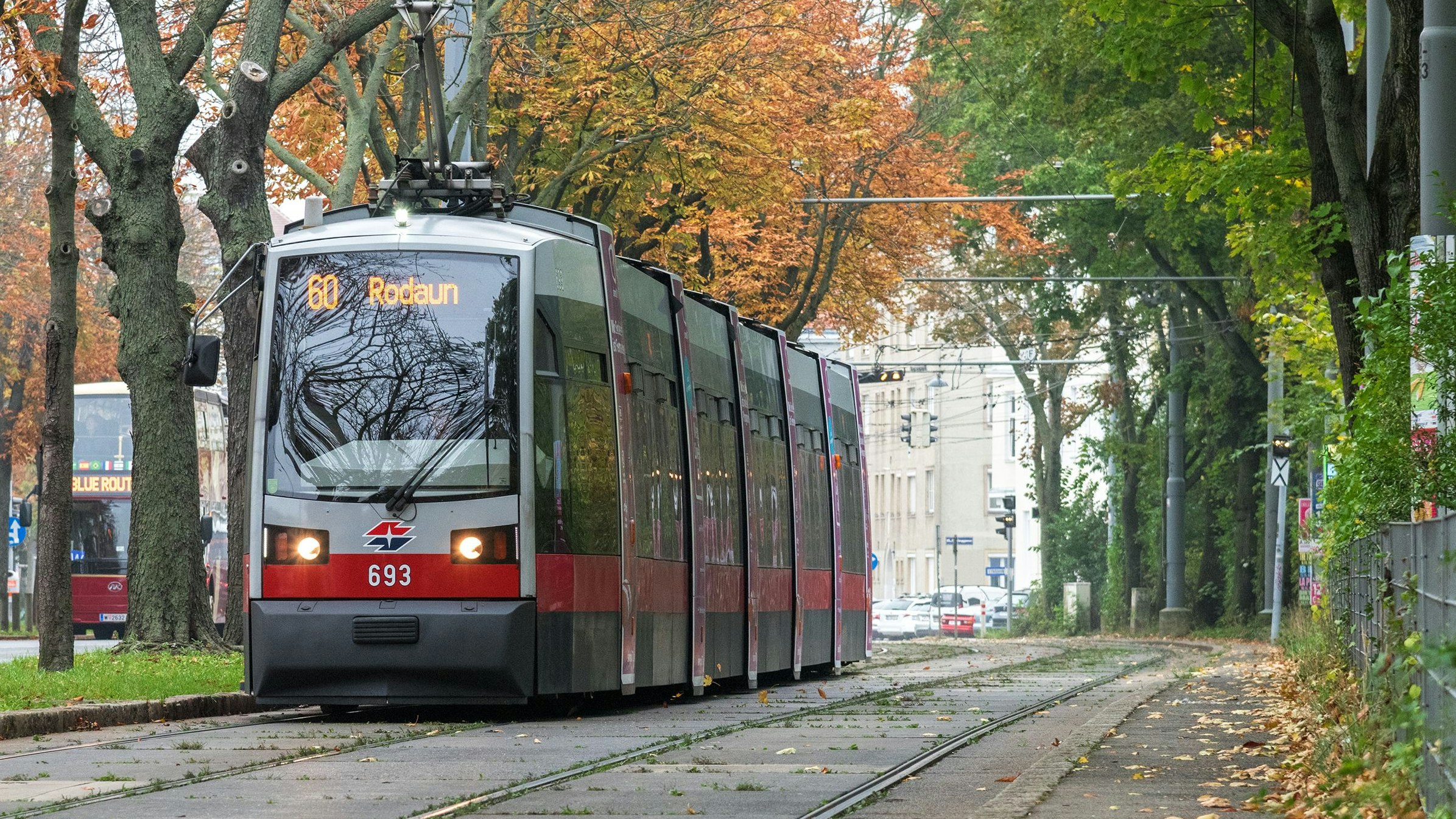 Zugunsten der Linie 60 und 10 soll auf der Westausfahrt in Wien eine Fahrspur für den Autoverkehr gesperrt werden. 