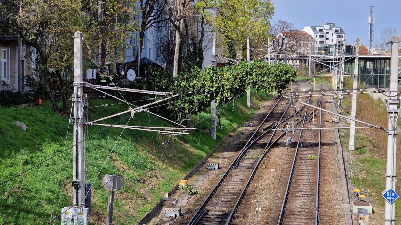 Äste sorgen für Unterbrechung bei Badner Bahn in Wien
