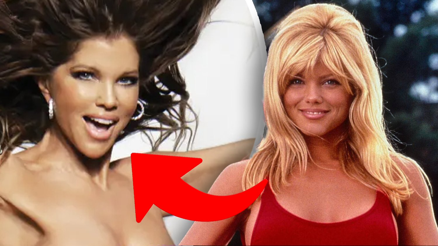 Mit ihrem nackten Körper setzt sich Donna D’Errico gegen Tierleid ein.