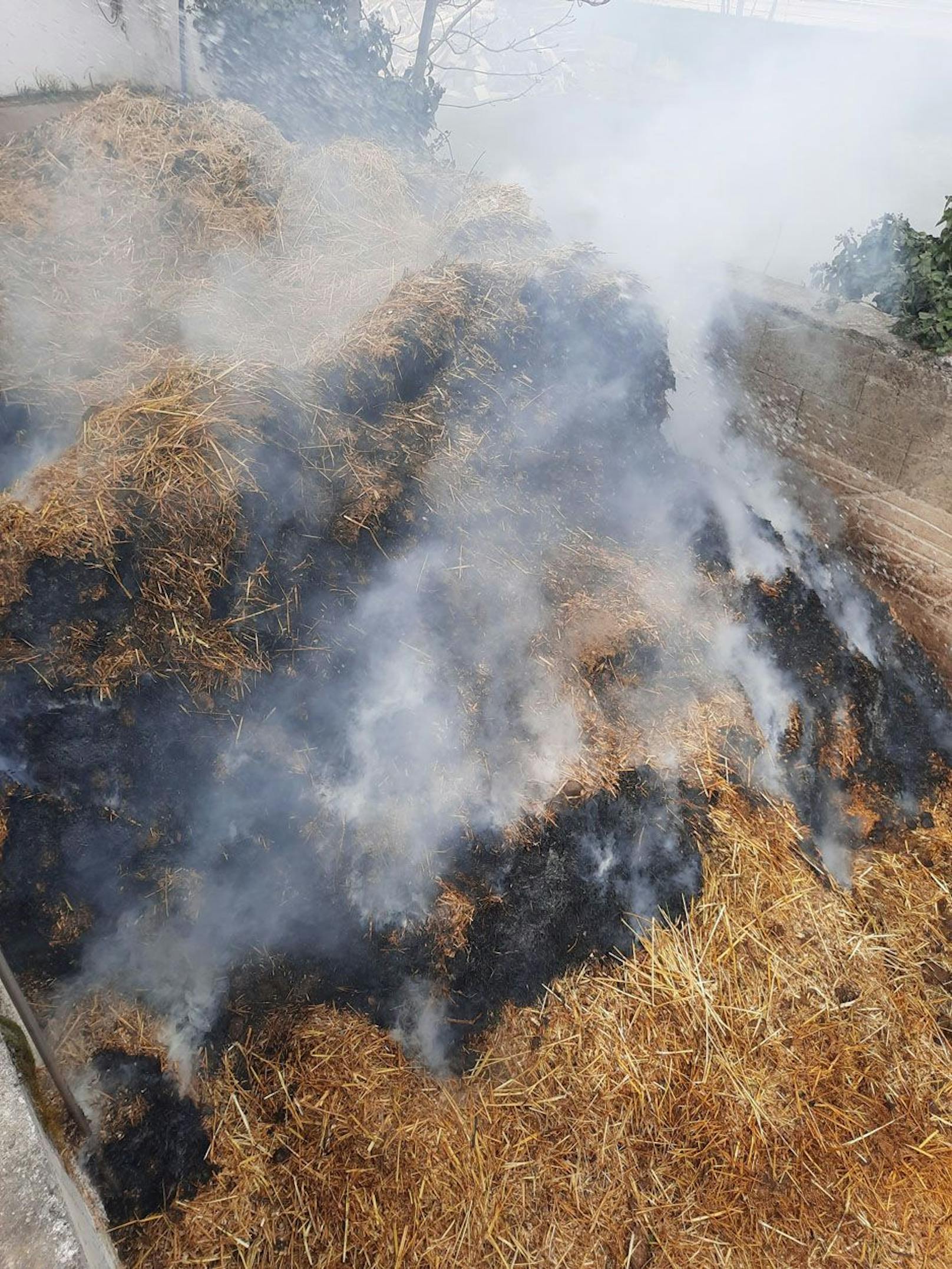 Zwei Florianis entdeckten den Brand rechtzeitig.