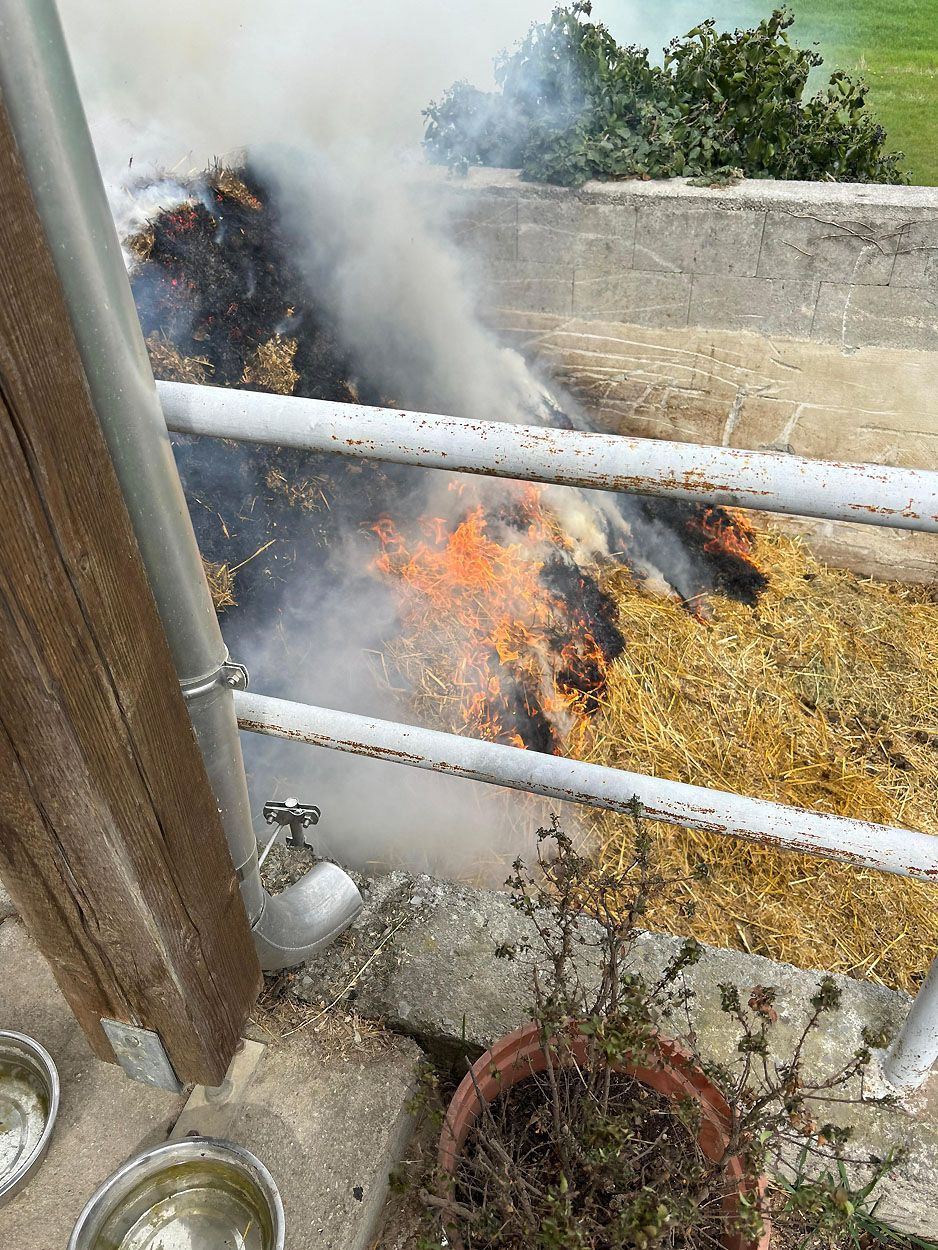 Auf einem Reitstall in Baden stand ein Misthaufen in Brand.