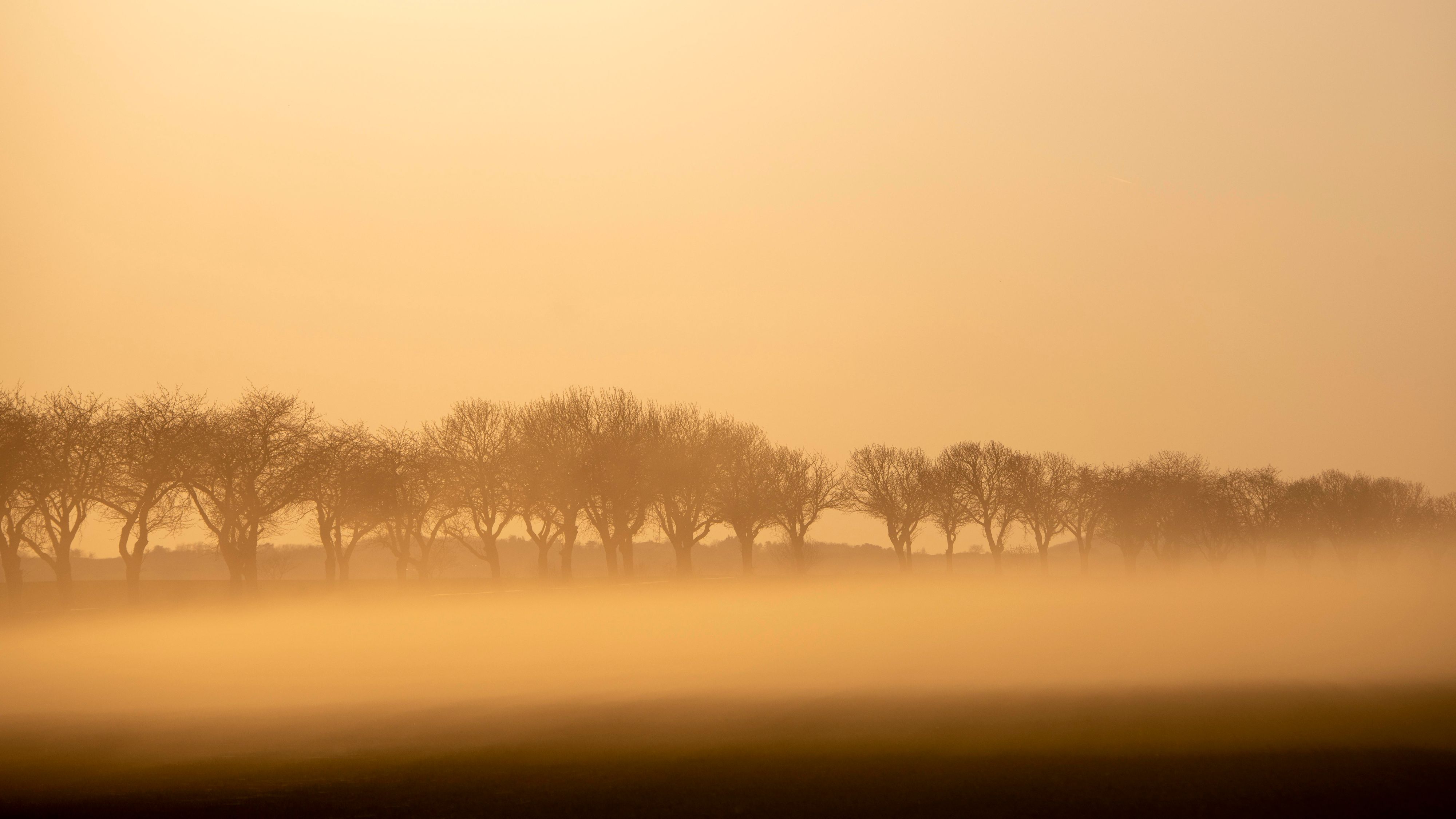 In den kommenden Tagen ist in Österreich wieder vermehrt mit Saharastaub zu rechnen. Archivbild.&nbsp;