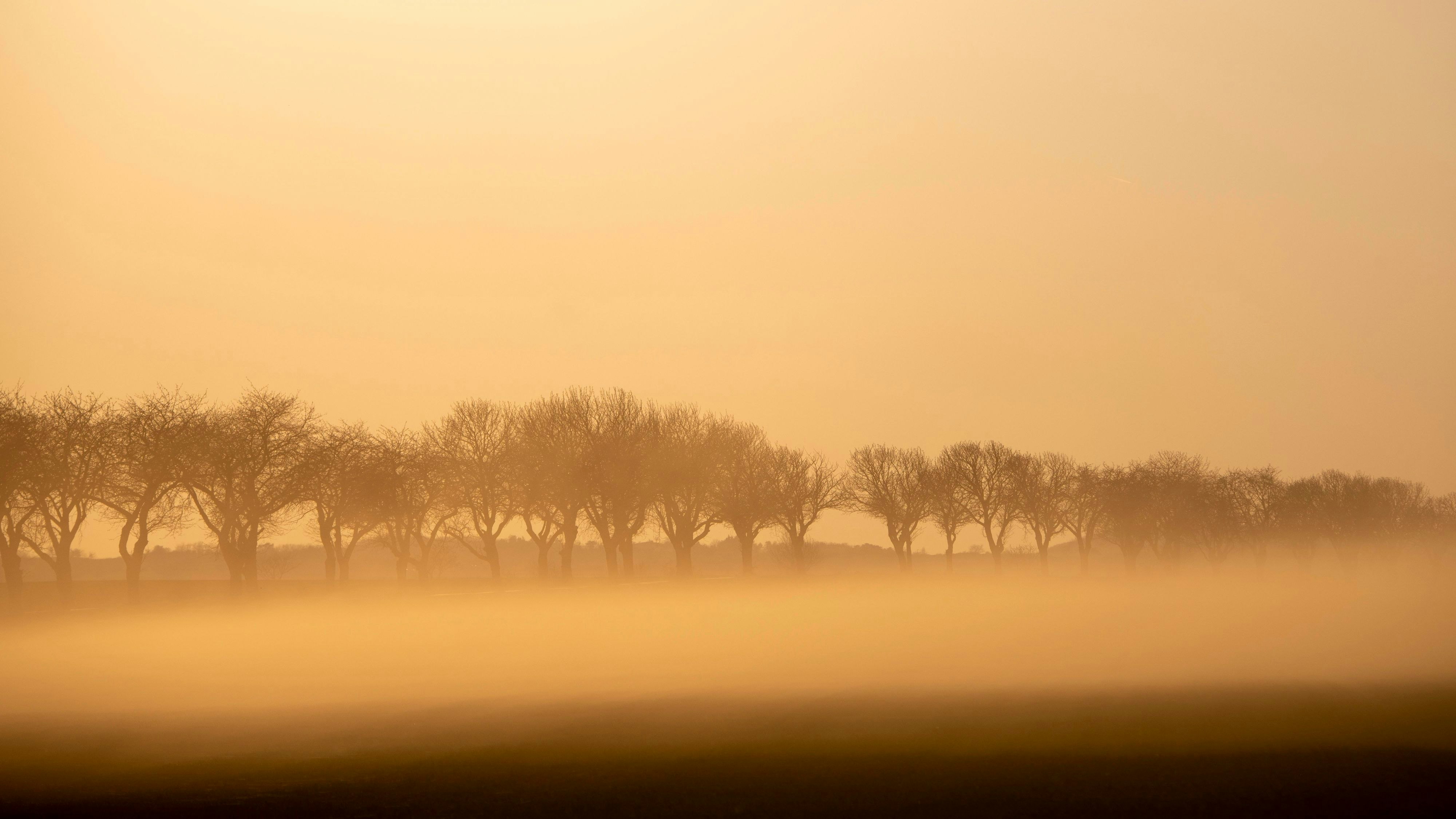 Heute.at - Föhnsturm bringt jetzt Saharastaub und 24 Grad