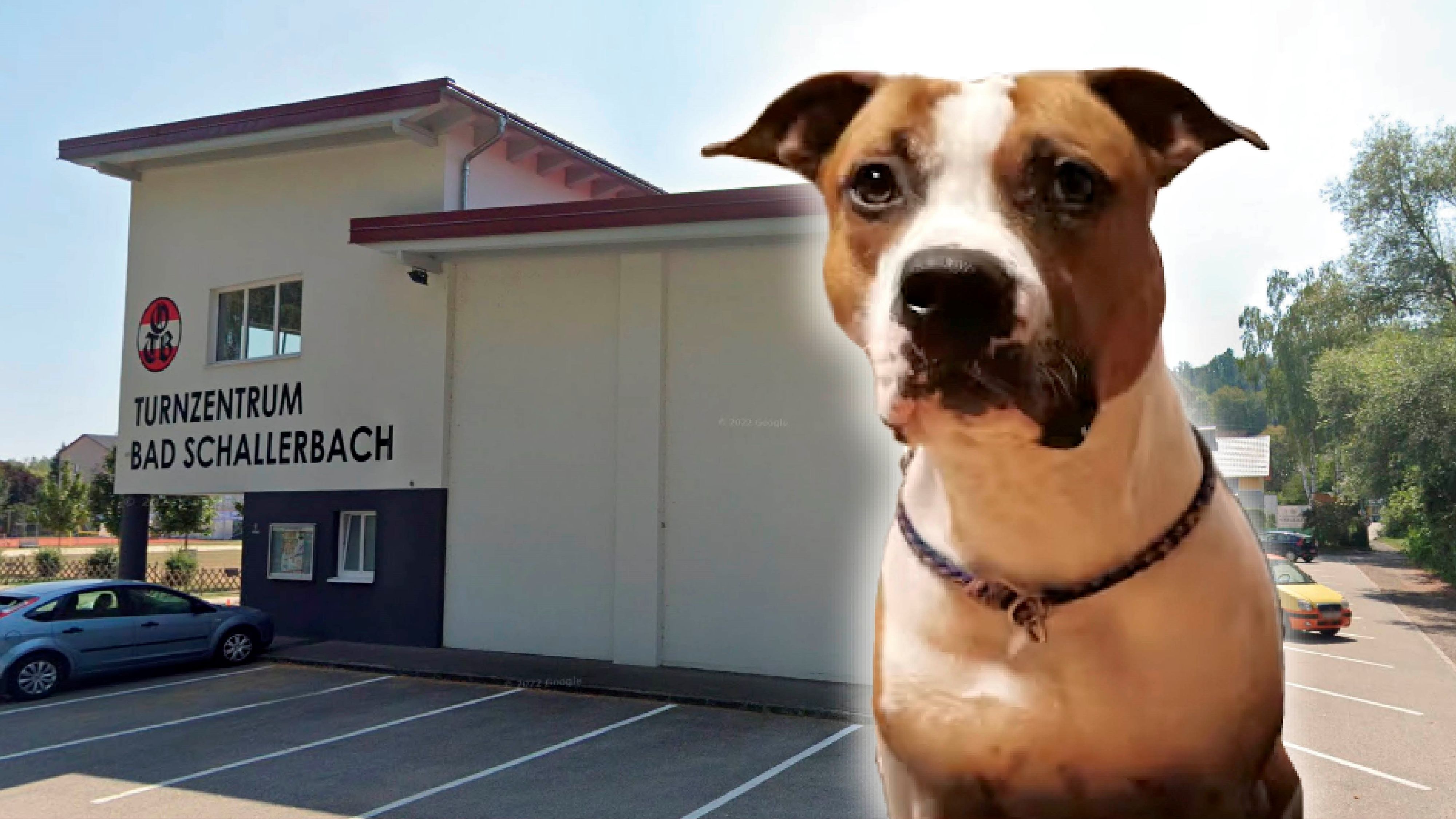 In unmittelbarer Nähe dieser Turnhalle fand die Bissattacke statt. Das Archivbild zeigt 