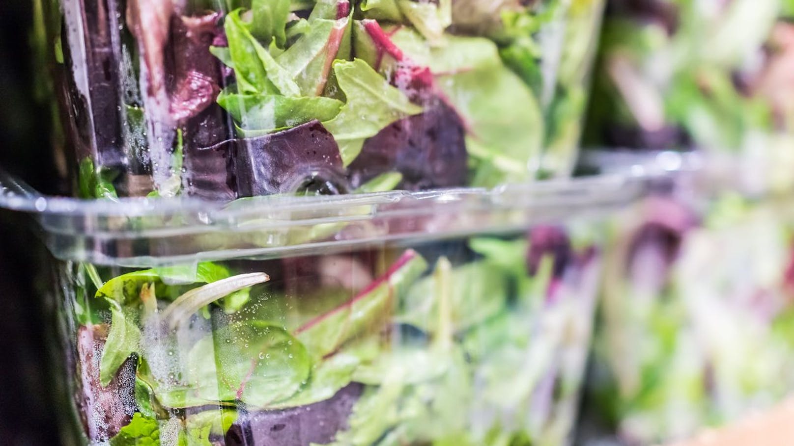 Abgepackte Salate: 3 von 8 Produkten fallen durch