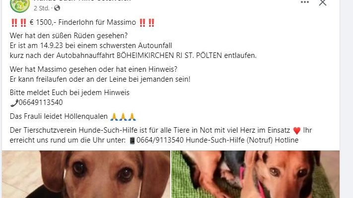 Der Verein "Hunde-Such-Hilfe-Österreich" hilft der Besitzerin bei der Suche.