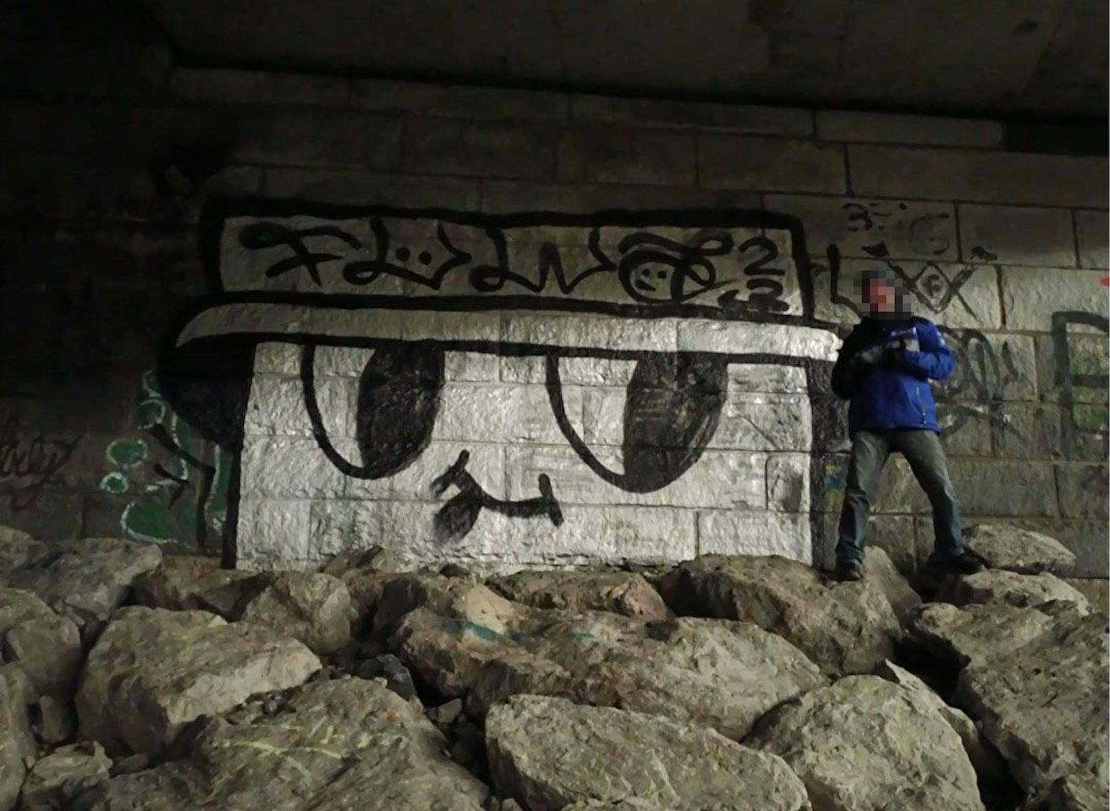 Unzählige Objekte wurden in NÖ, Wien und Innsbruck mit Graffitis besprüht.