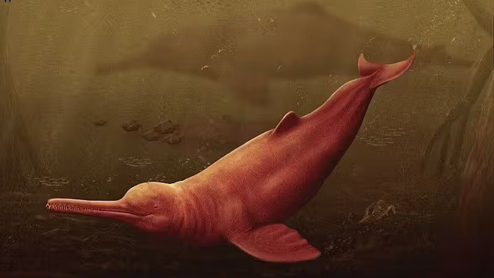 Forscher findet riesiges Delfin-Fossil im Amazonas