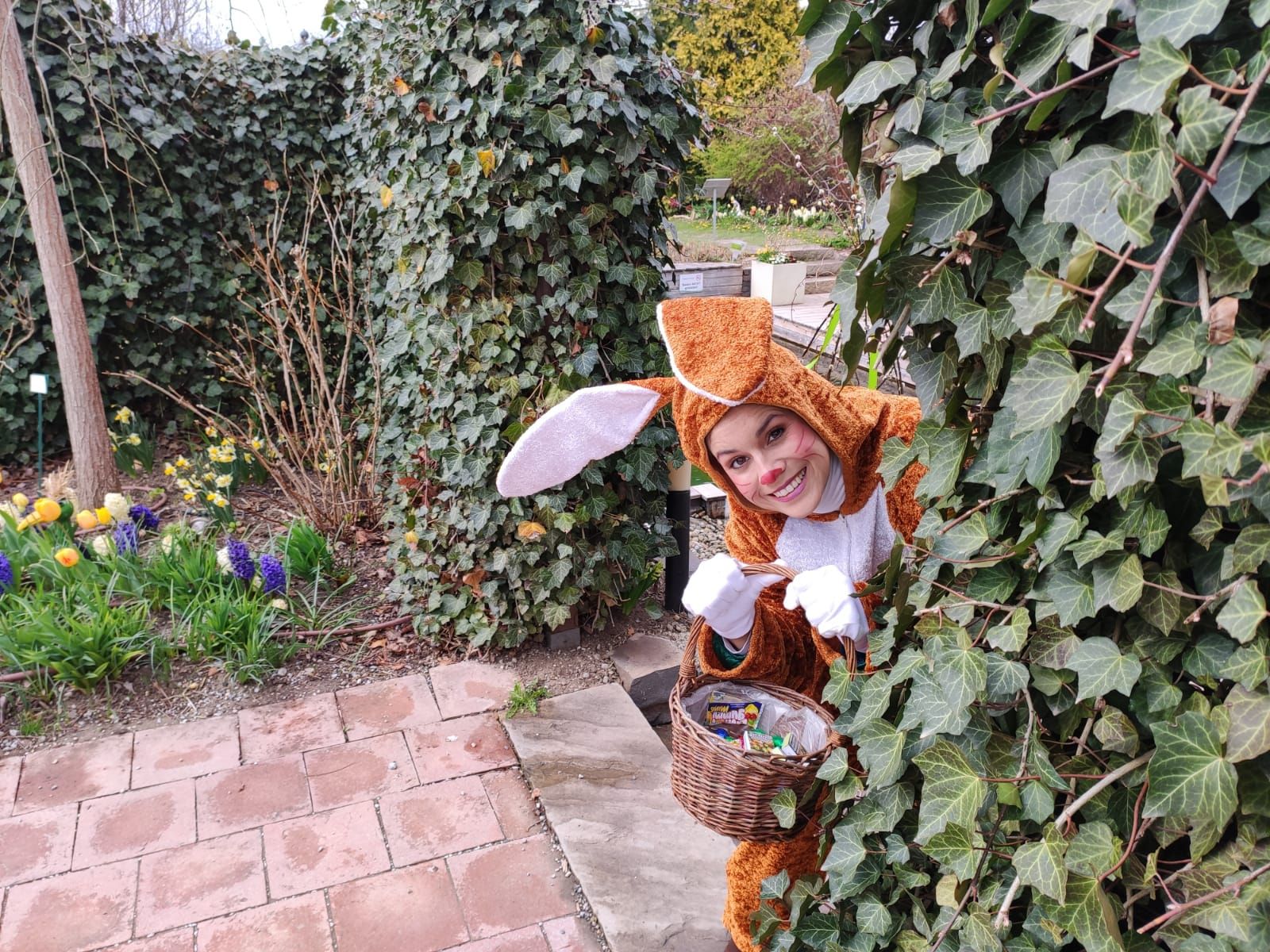 Am Ostersonntag oder Ostermontag besucht der Osterhase die Kittenberger Erlebnisgärten.