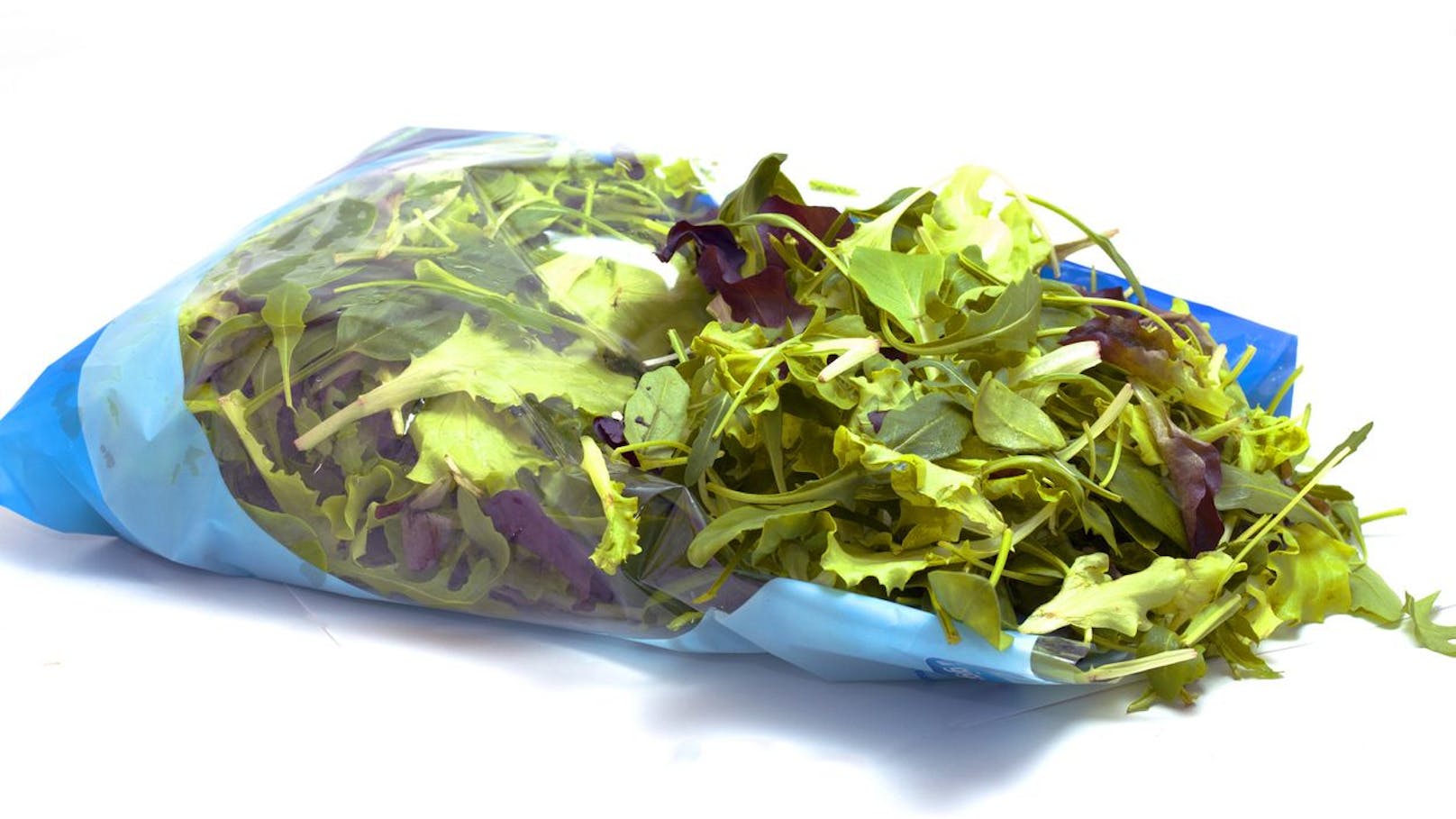 <strong>chef select &amp; you Premium Salat (Lidl):</strong> für den menschlichen Verzehr ungeeignet (B.Cereus über Schimmelpilze über dem Warnwert, Hefen über dem Richtwert) (im Bild: Symbolbild)