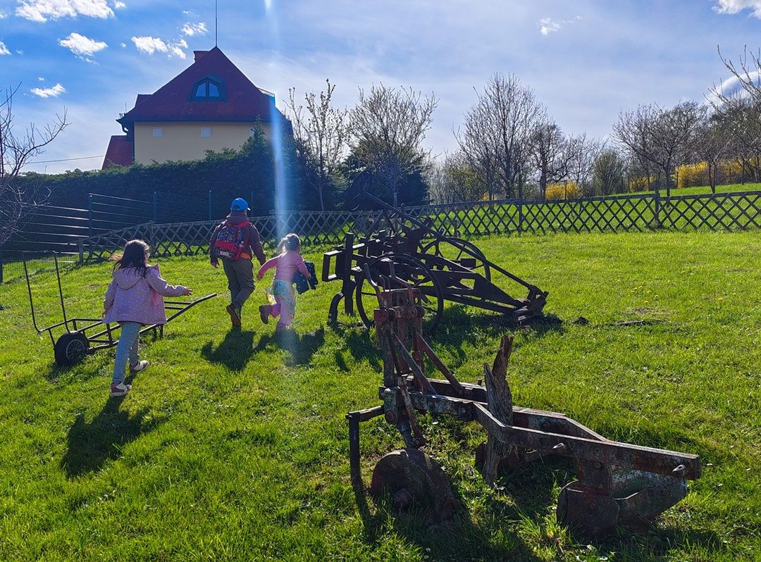 20 Kinder des SOS-Kinderdorf durften am Erlebnisbauernhof am Cobenzl nach Ostereiern suchen. 