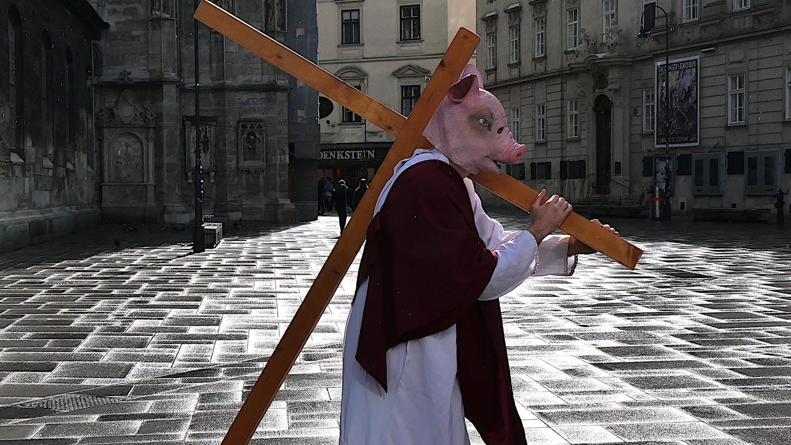Bizarre Aktion: Schweine vor Stephansdom gekreuzigt