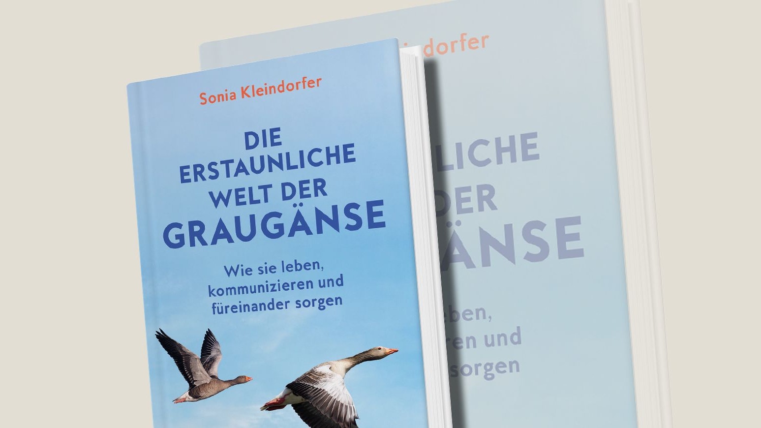 Sonia Kleindorfer, Patricia McAllister-Käfer, "Die erstaunliche Welt der Graugänse", Brandstätter, 25 Euro