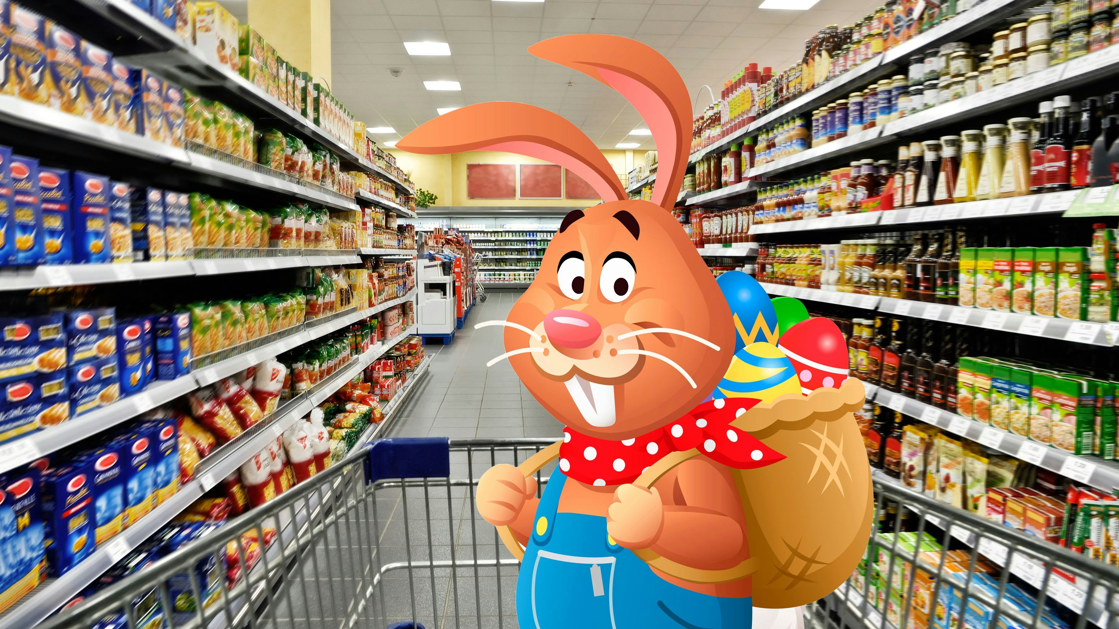 Empty shopping cart in the supermarket