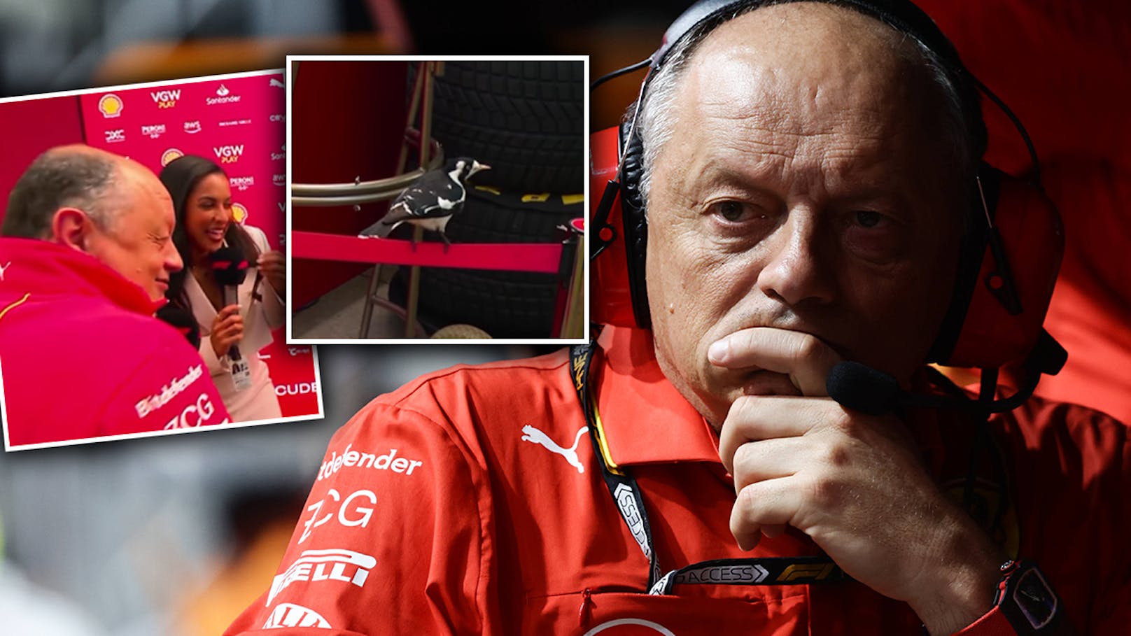 Fiese Vogel-Attacke: Ferrari-Teamchef muss flüchten