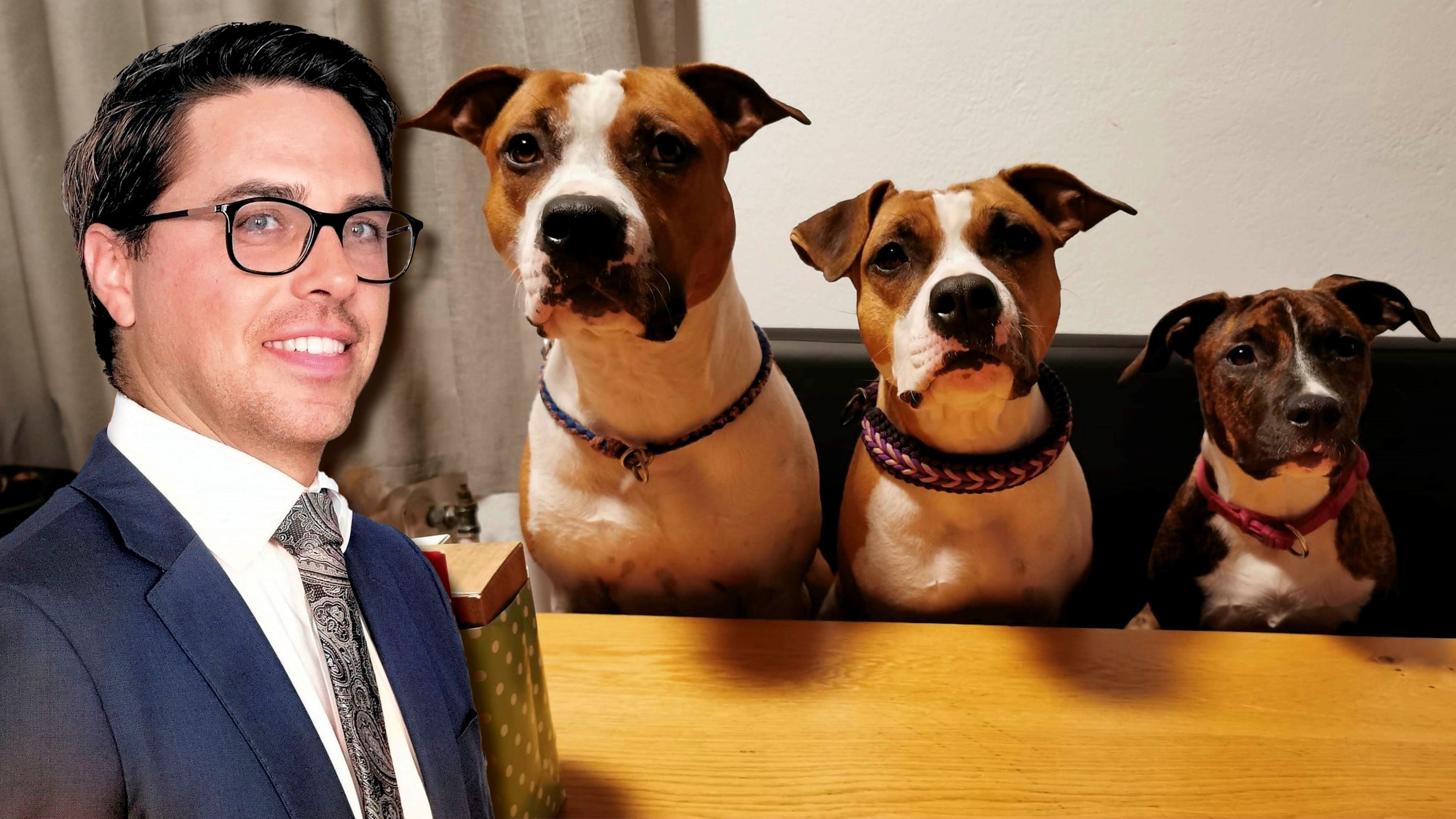 Philipp Wohlmacher, Anwalt der Besitzerin von 