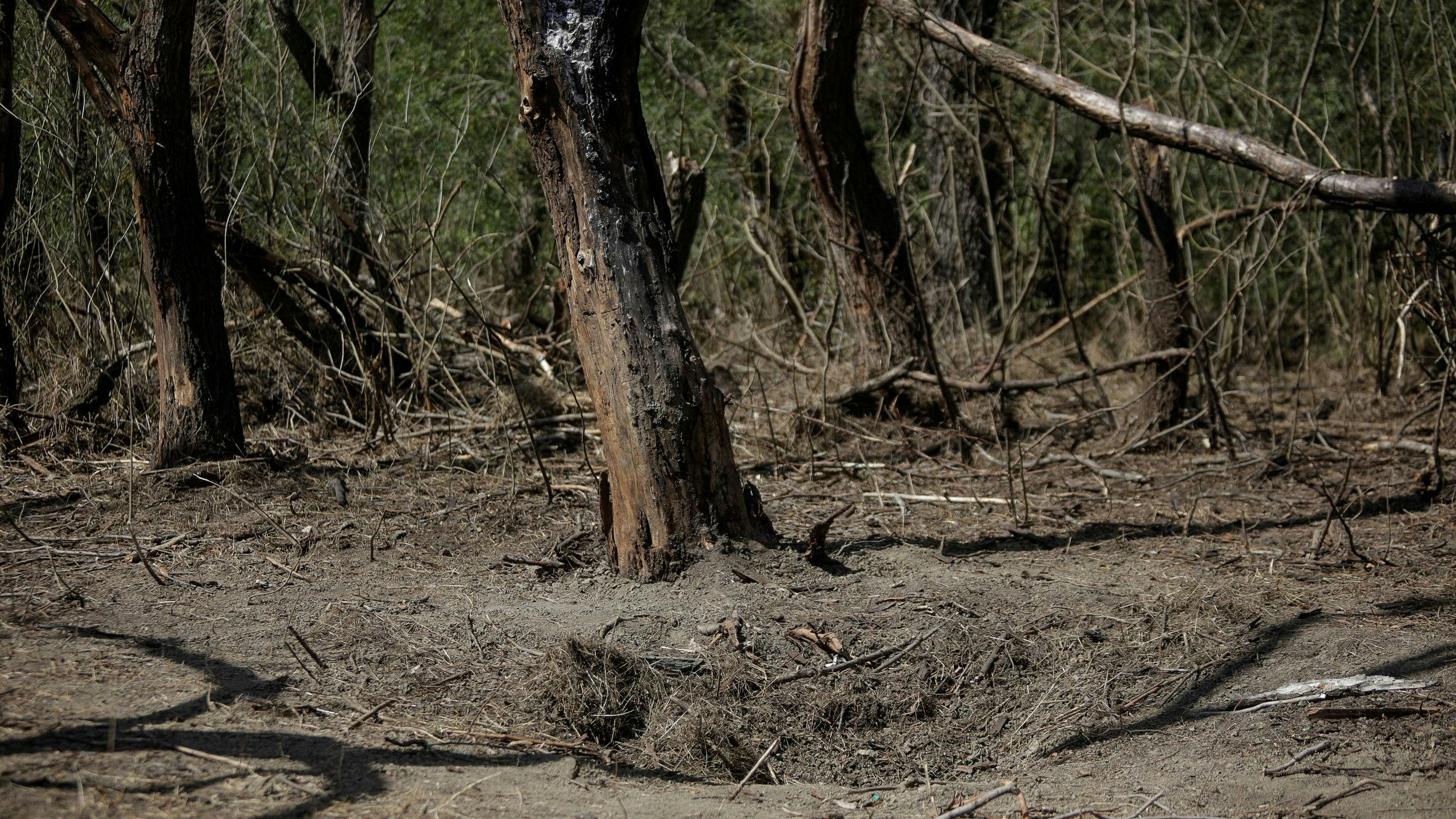 Immer wieder kommt es in der rumänisch-ukrainischen Grenzregion zu Drohnenabstürzen. Im Dezember 2023 wurde sogar der russische Botschafter einbestellt.