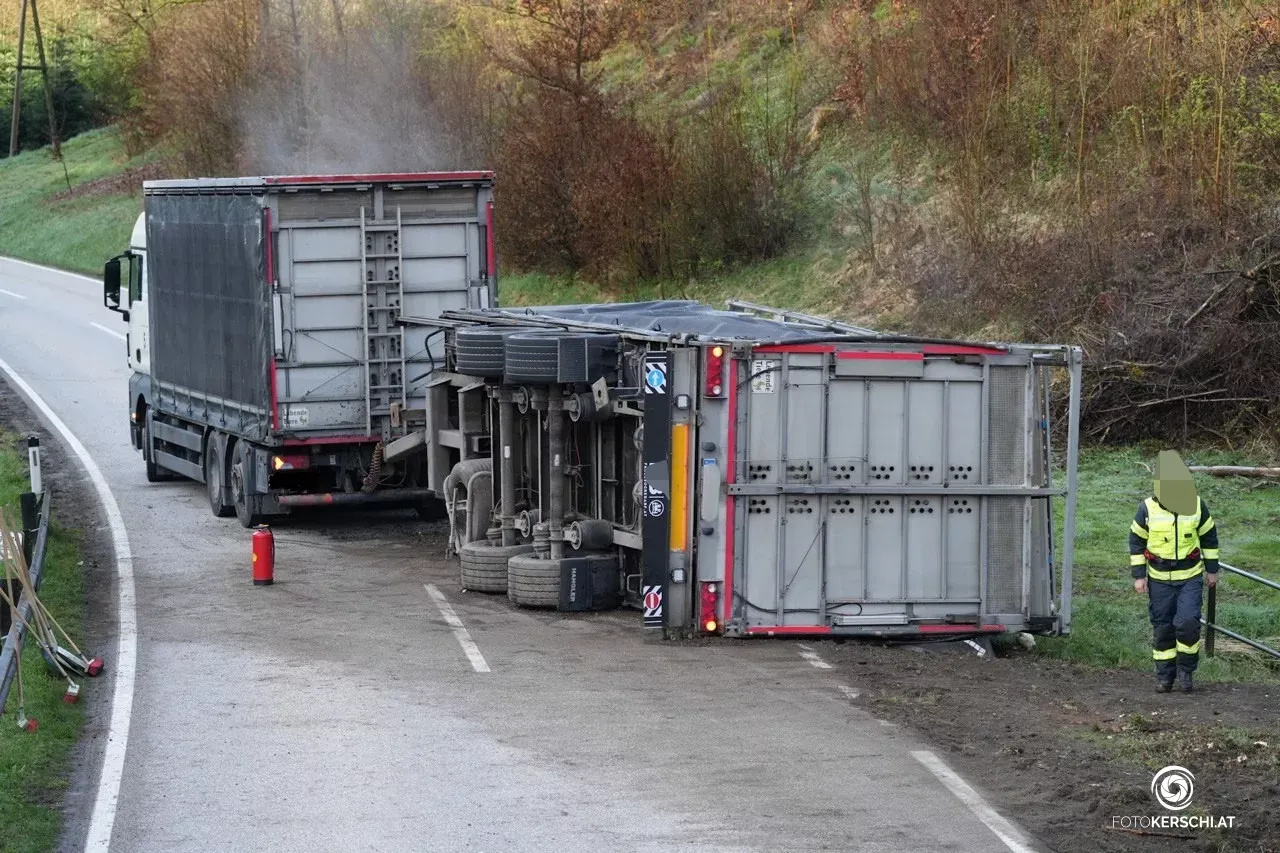 Im Anhänger des umgestürzten Lkw befanden sich tausende Hühner.&nbsp;