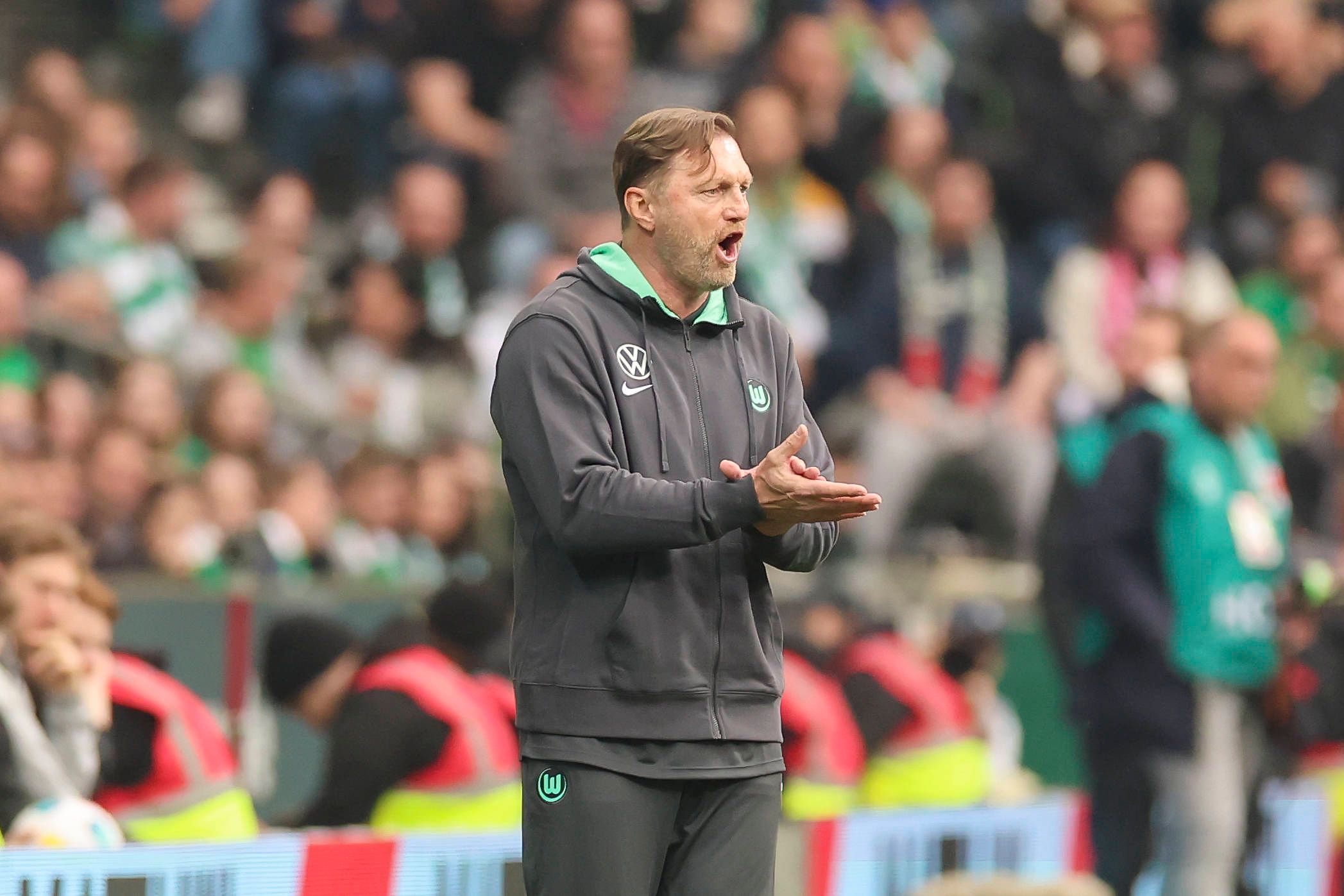 Ralph Hasenhüttl erstmals auf der Wolfsburg-Bank