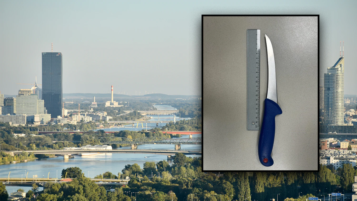 Die Polizei musste zur nächtlichen Stunde in der Donaustadt ausrücken. Symbolbild.