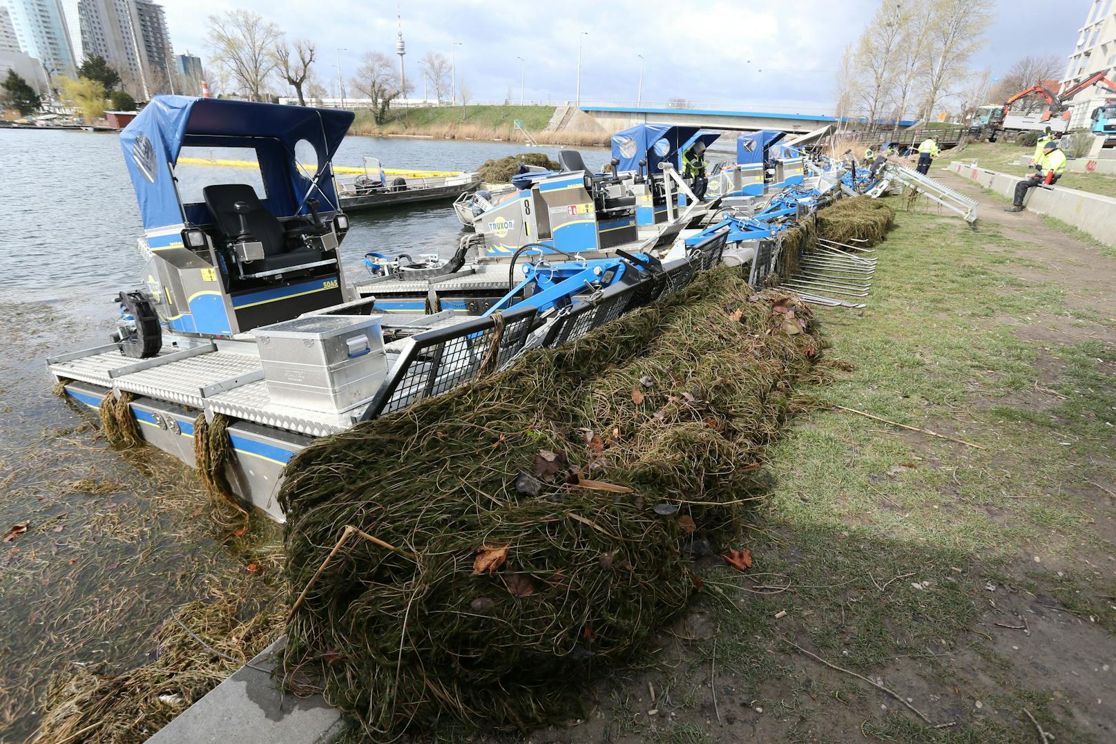 Auch heuer sind wieder bis zu 25 Boote im Mäheinsatz.