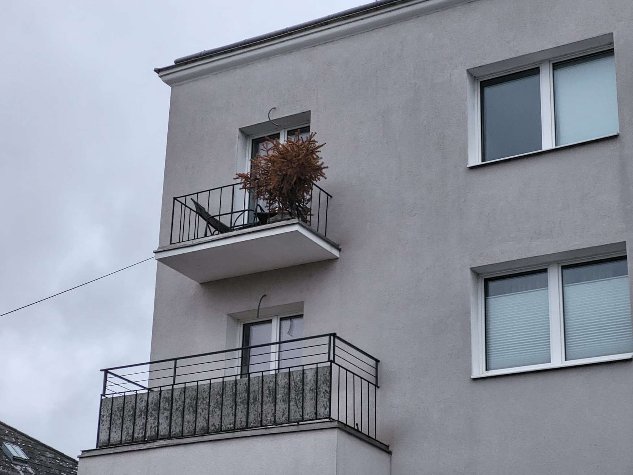 Ein Spaziergänger bemerkte die Schieflage des Baumes.