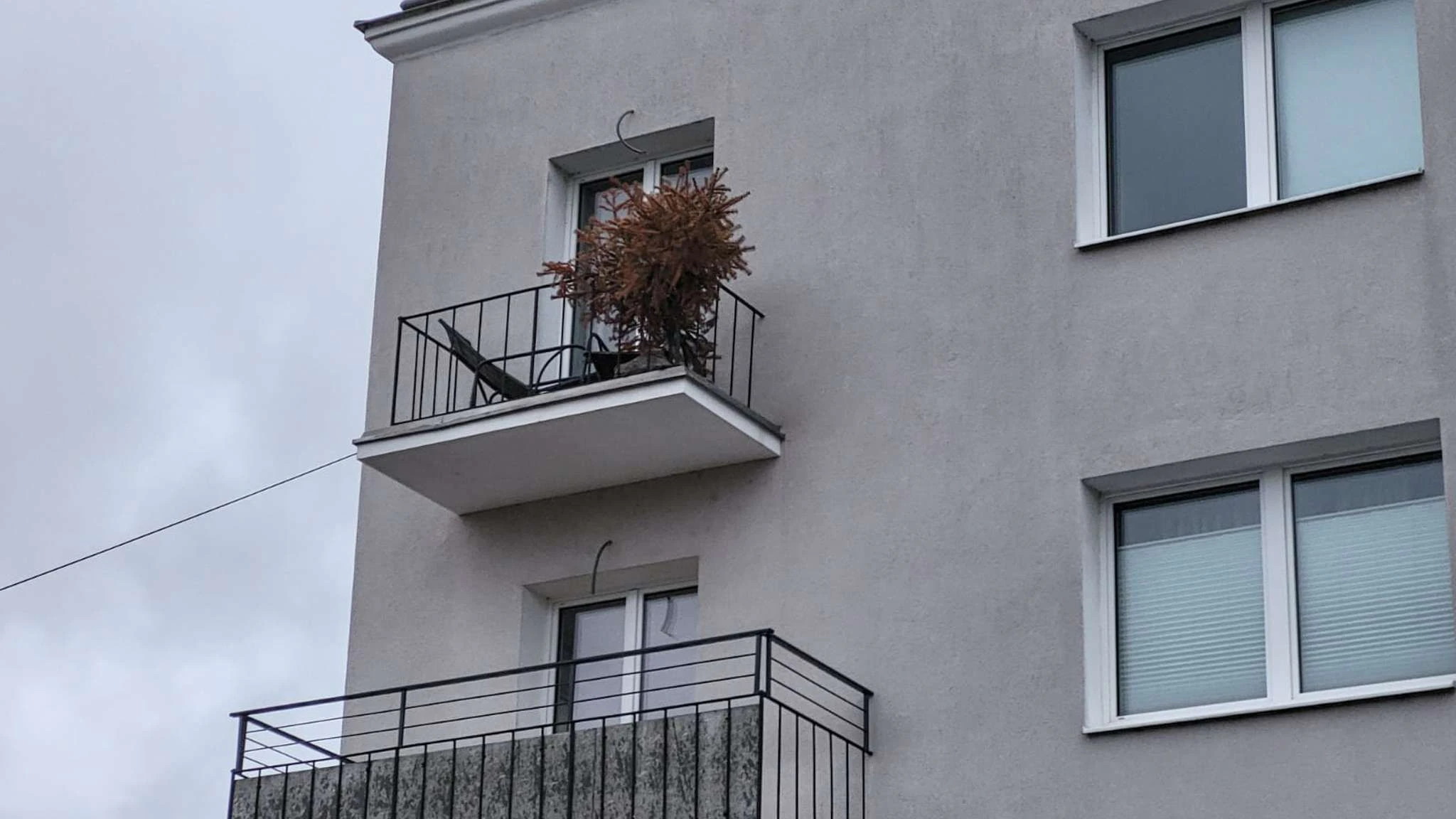 Ein Spaziergänger bemerkte die Schieflage des Baumes.