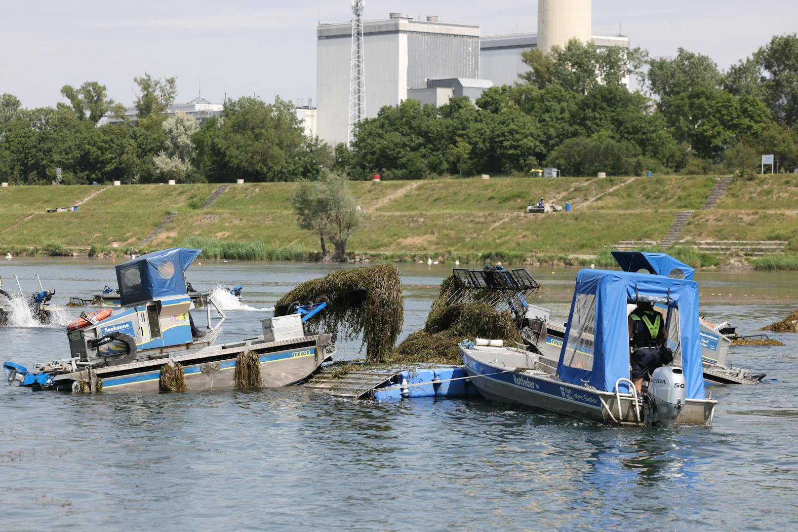 Auch heuer sind wieder bis zu 25 Boote im Mäheinsatz.