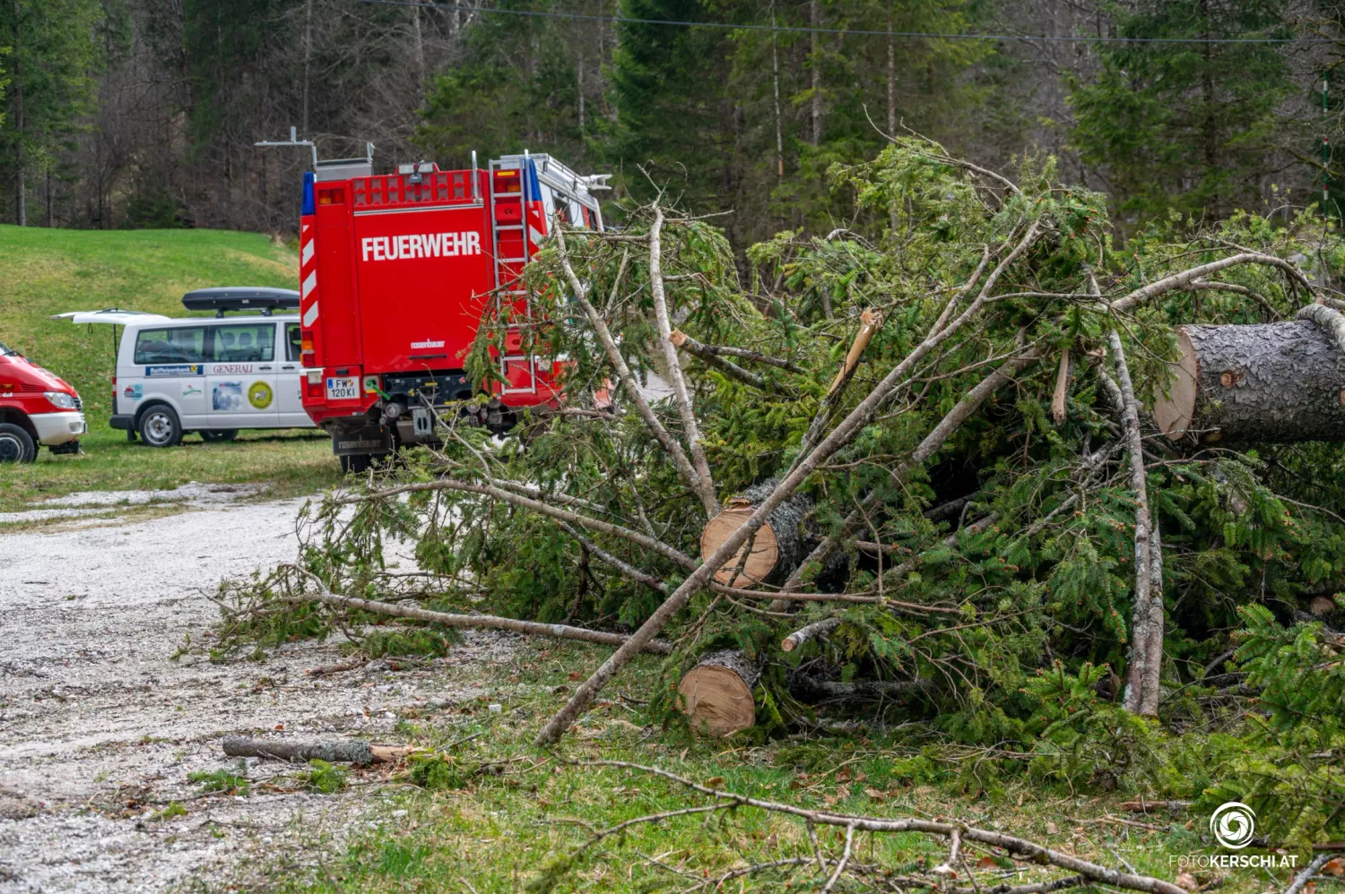 Vom Sturm zerstörte Bäume in Steyrling (Bez. Kirchdorf), die Feuerwehr rückte aus.