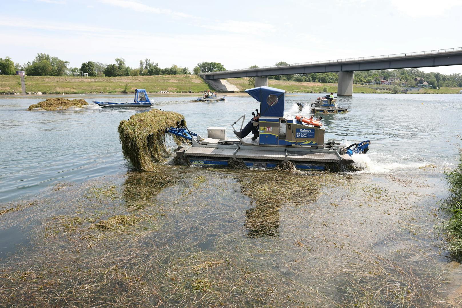 Auch heuer sind wieder bis zu 25 Boote im Mäheinsatz.